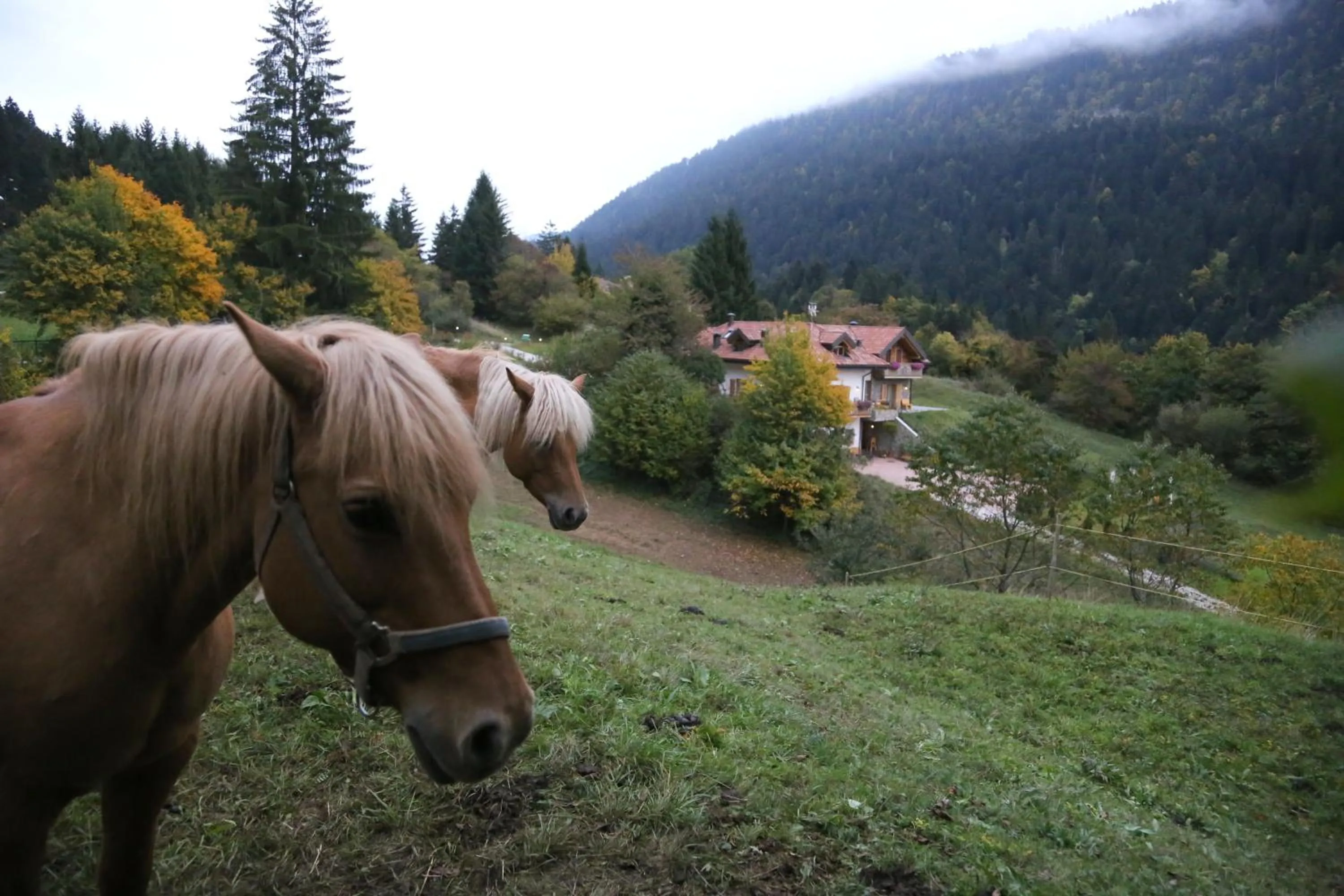 Property building in Agriturismo Ai Castioni