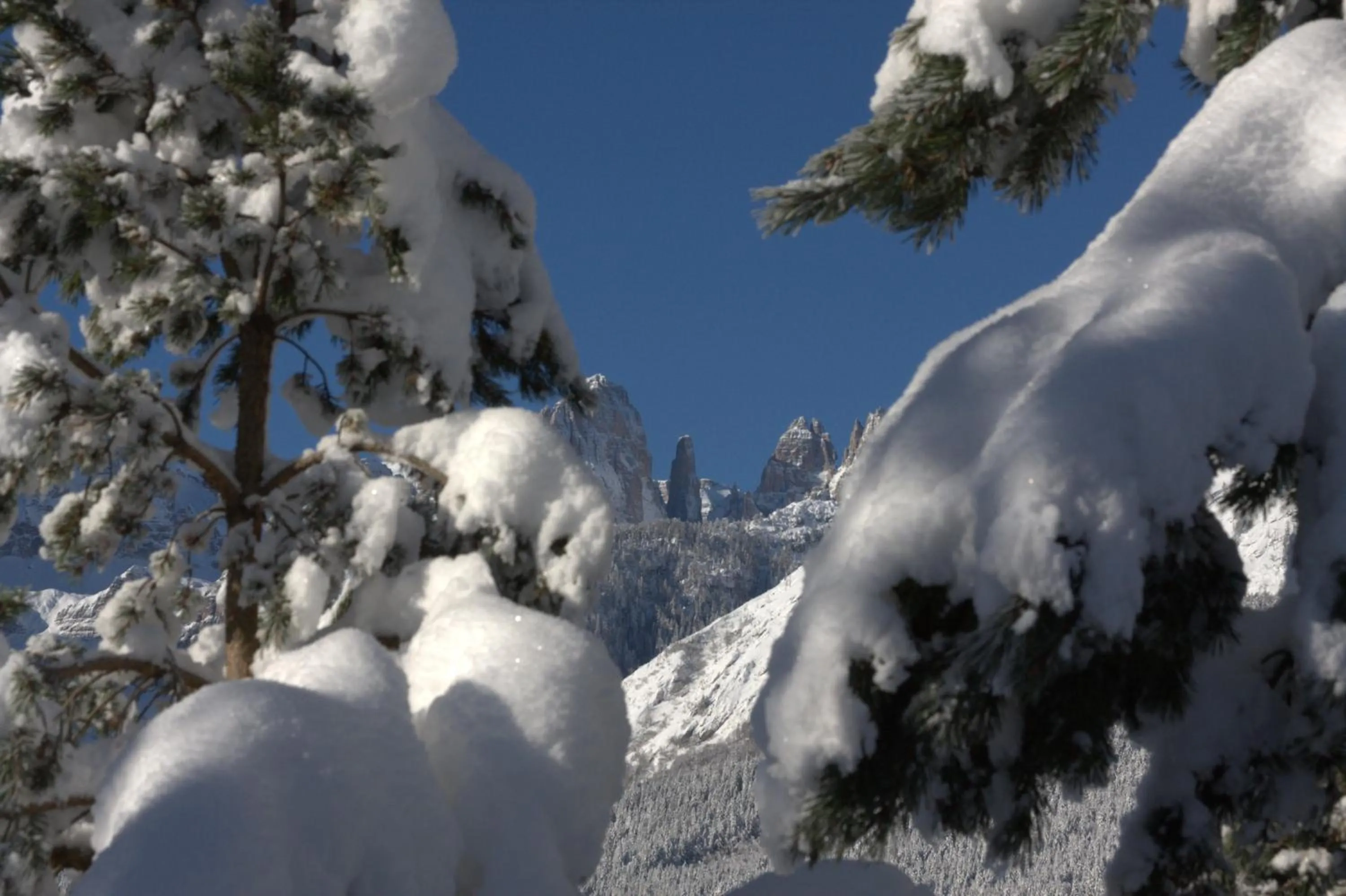 On site in Agriturismo Ai Castioni