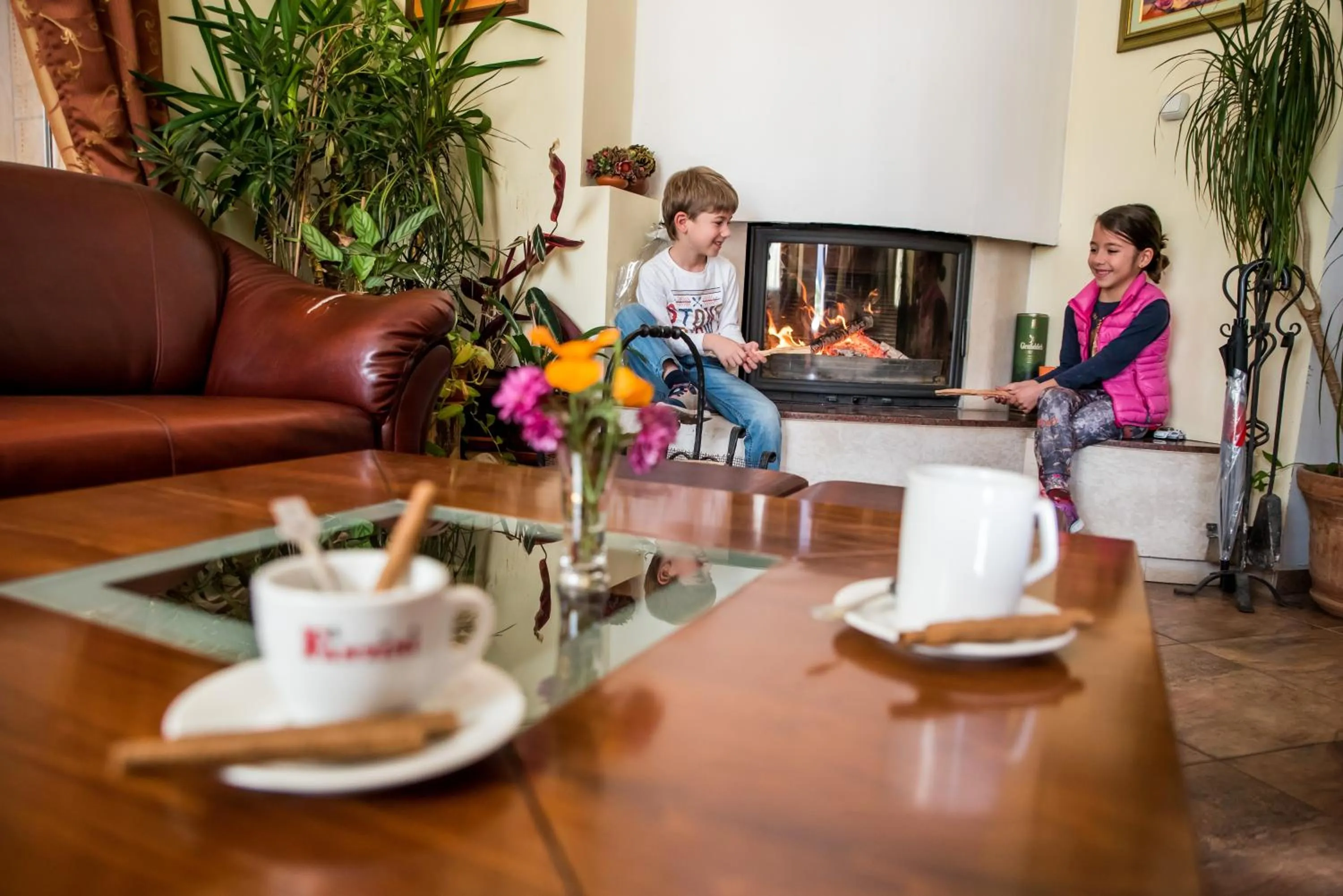 Lobby or reception in Bariakov Family Hotel