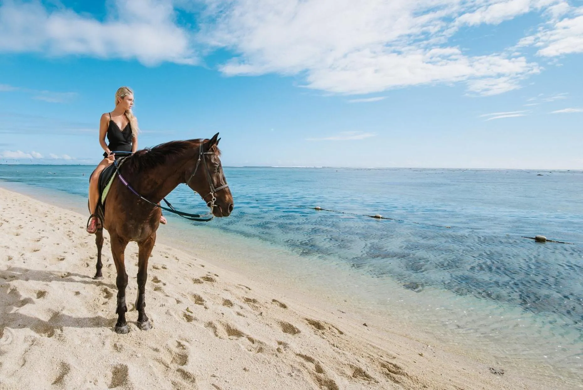 Horse-riding in LUX* Le Morne Resort