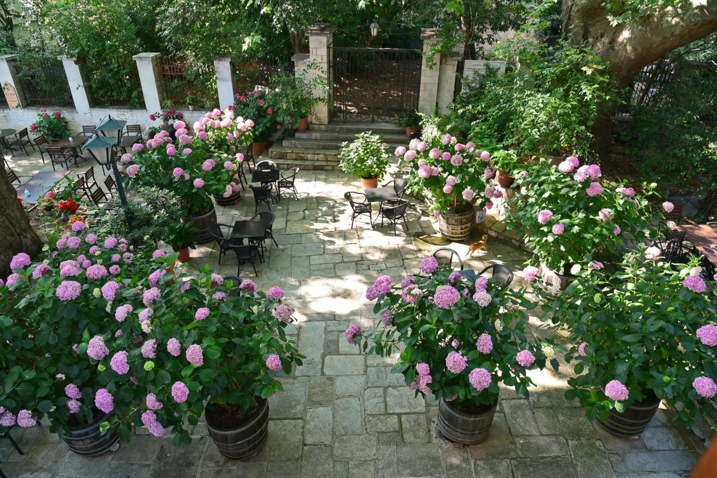 Garden view in Hotel Filoxenia