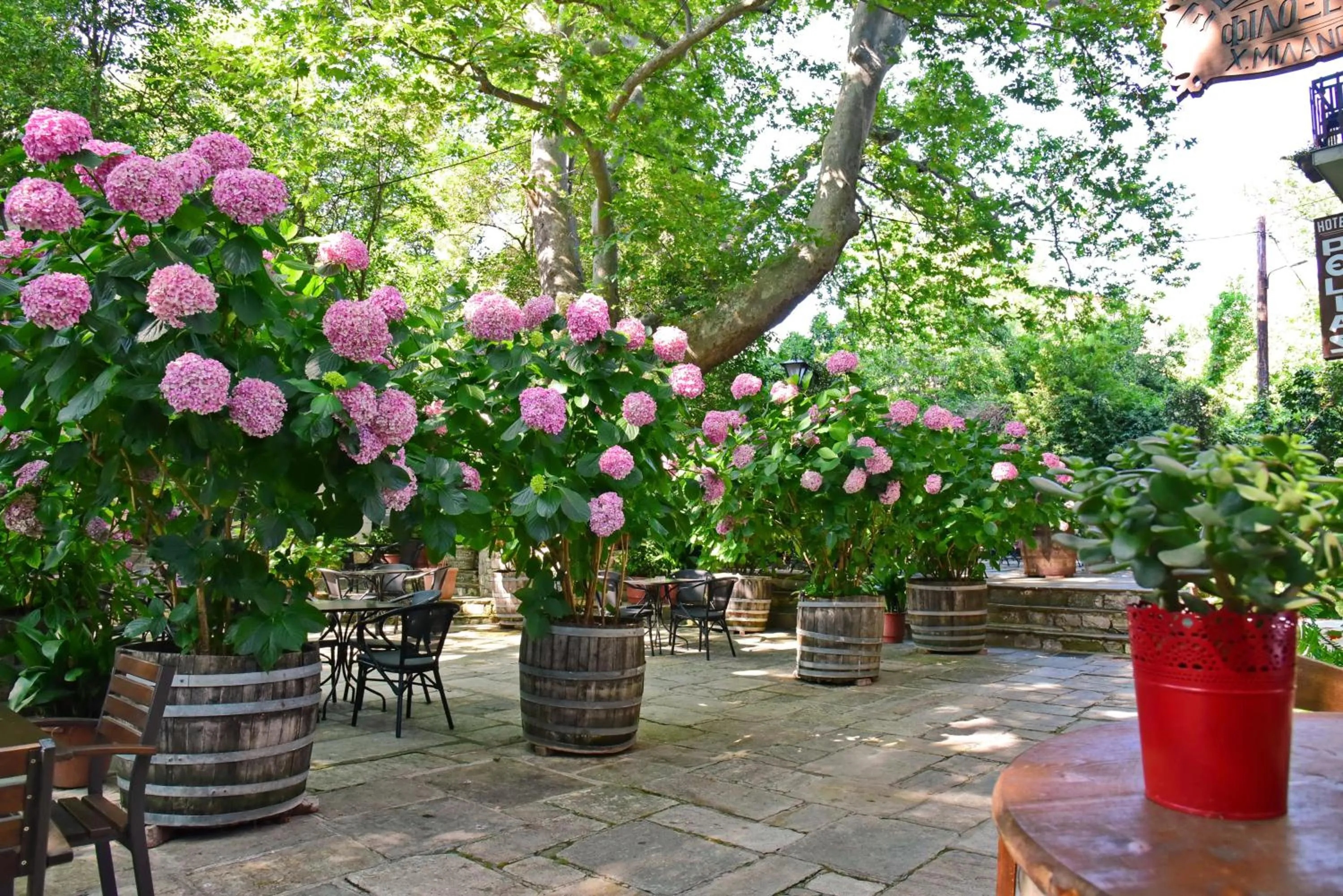 Garden view in Hotel Filoxenia
