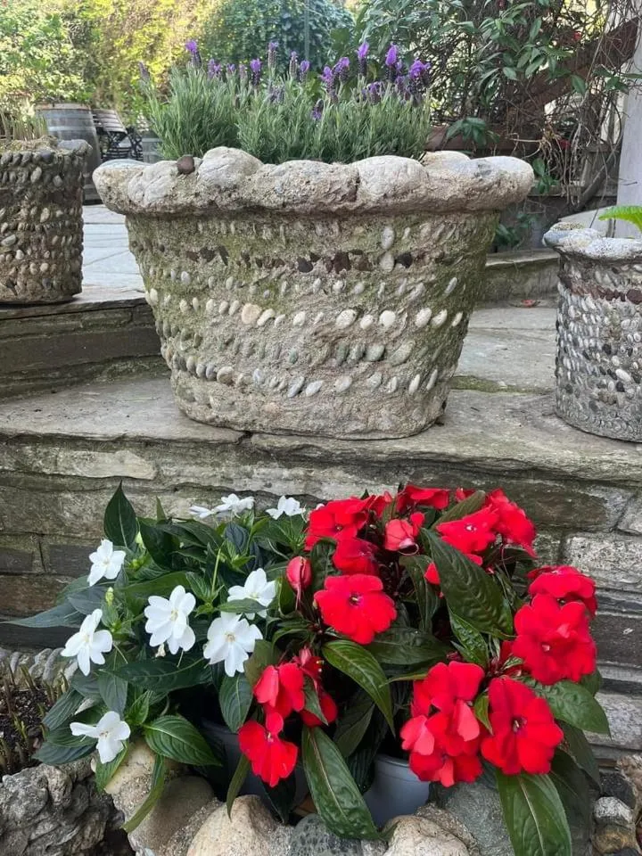 Garden in Hotel Filoxenia