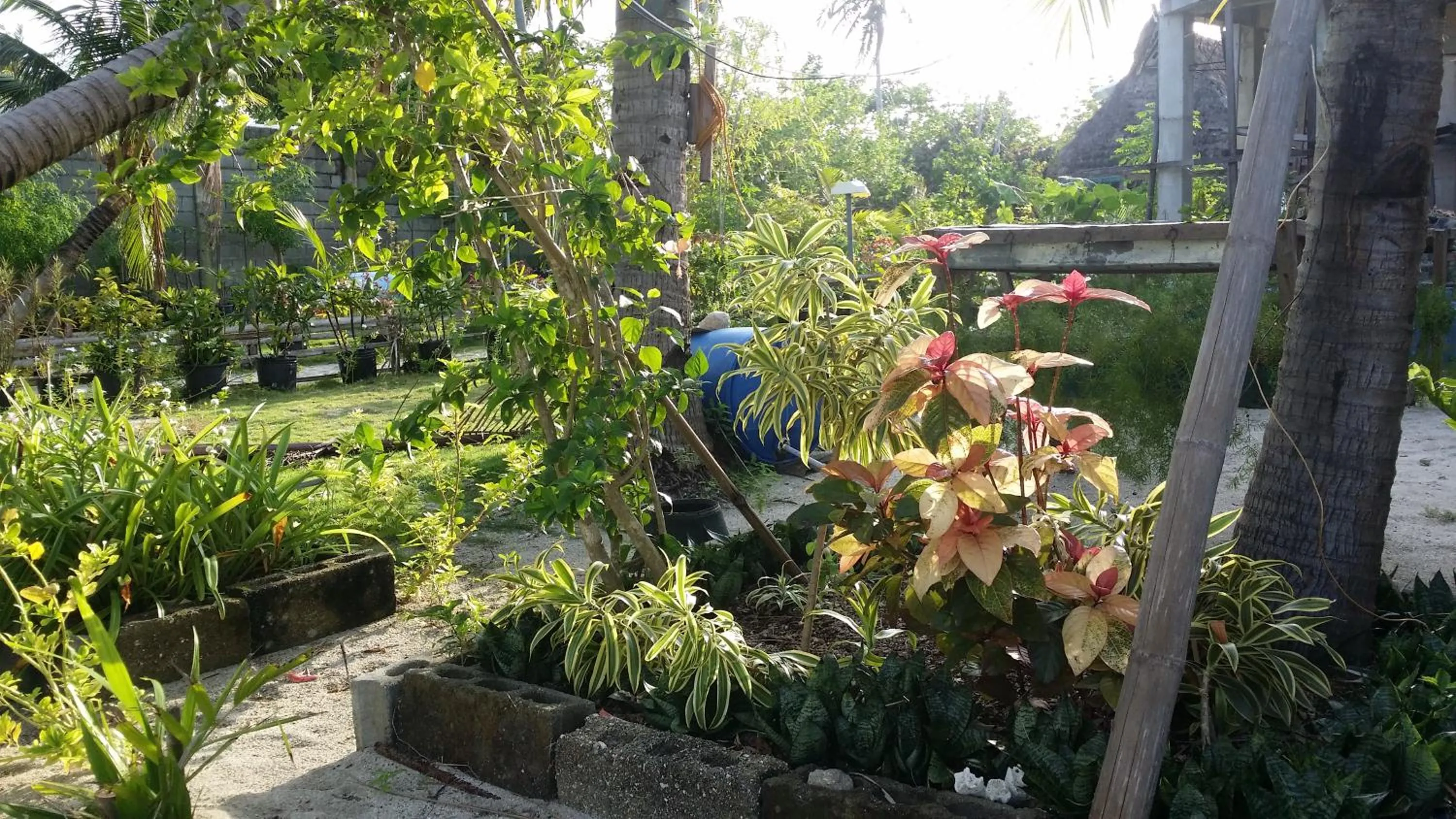 AABANA Beach & Watersport Resort