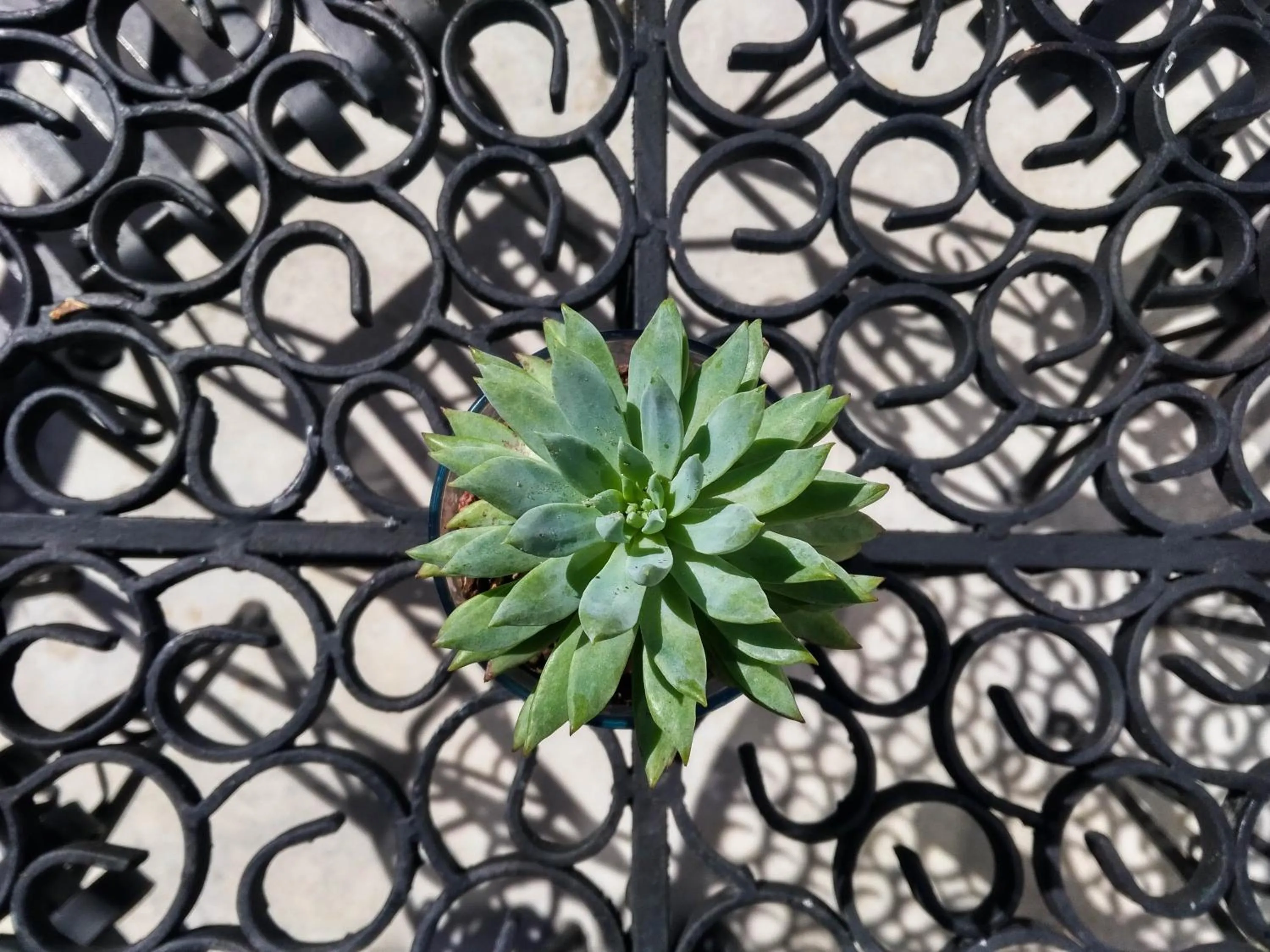 Decorative detail in La Tozi Hotel