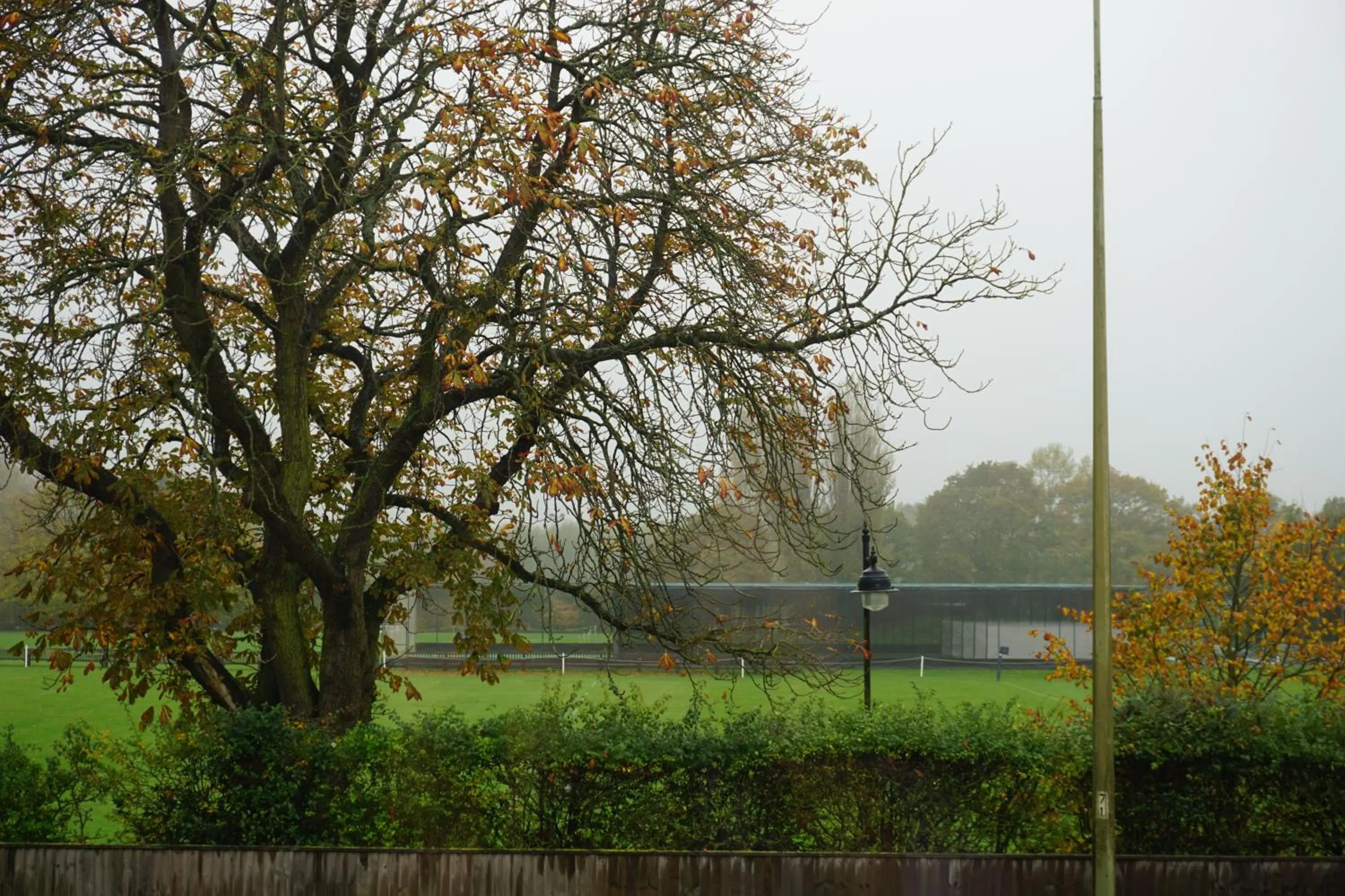 View (from property/room) in 3 Summertown Court