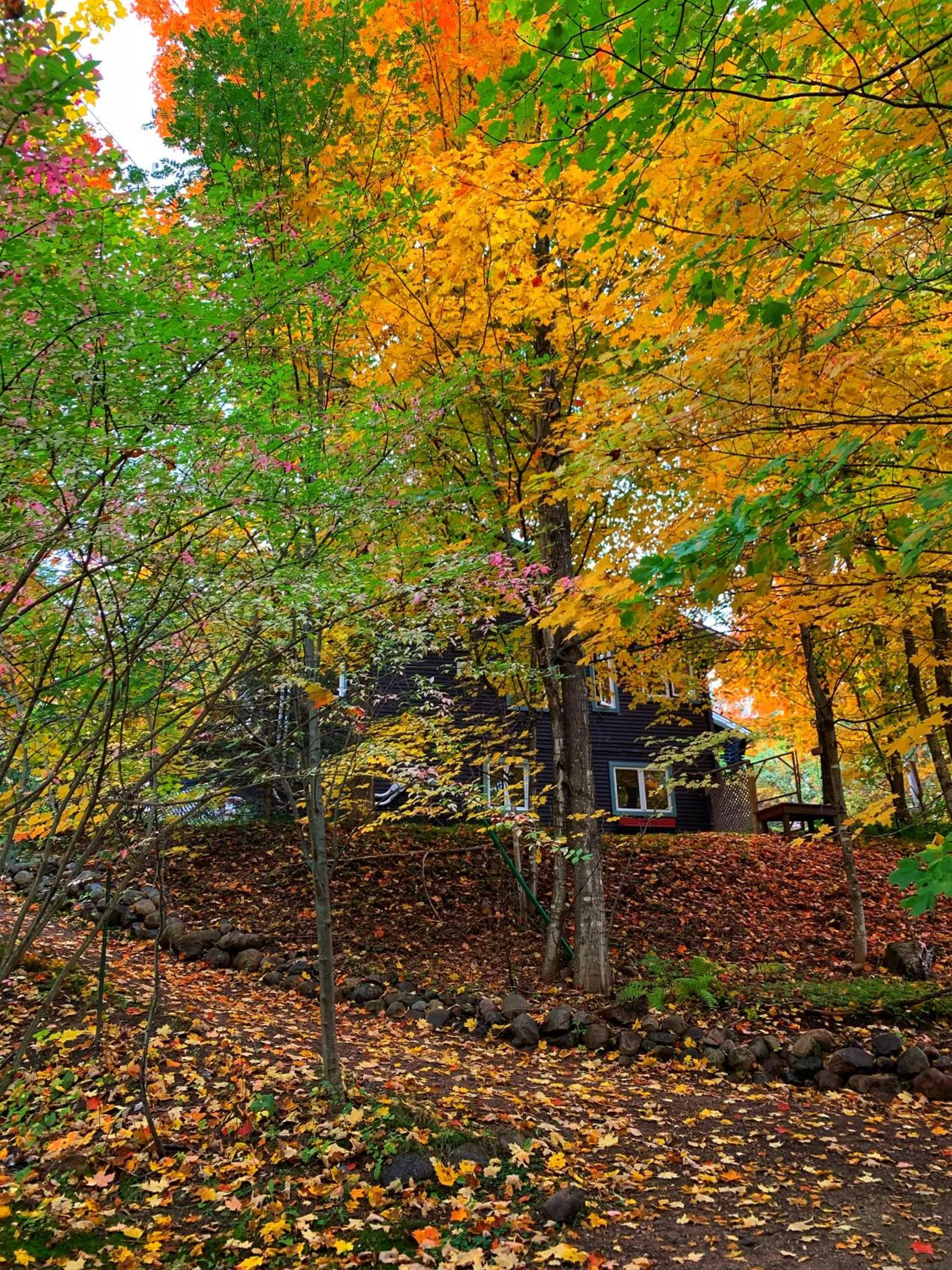 Auberge Le Lupin-Self Check-in