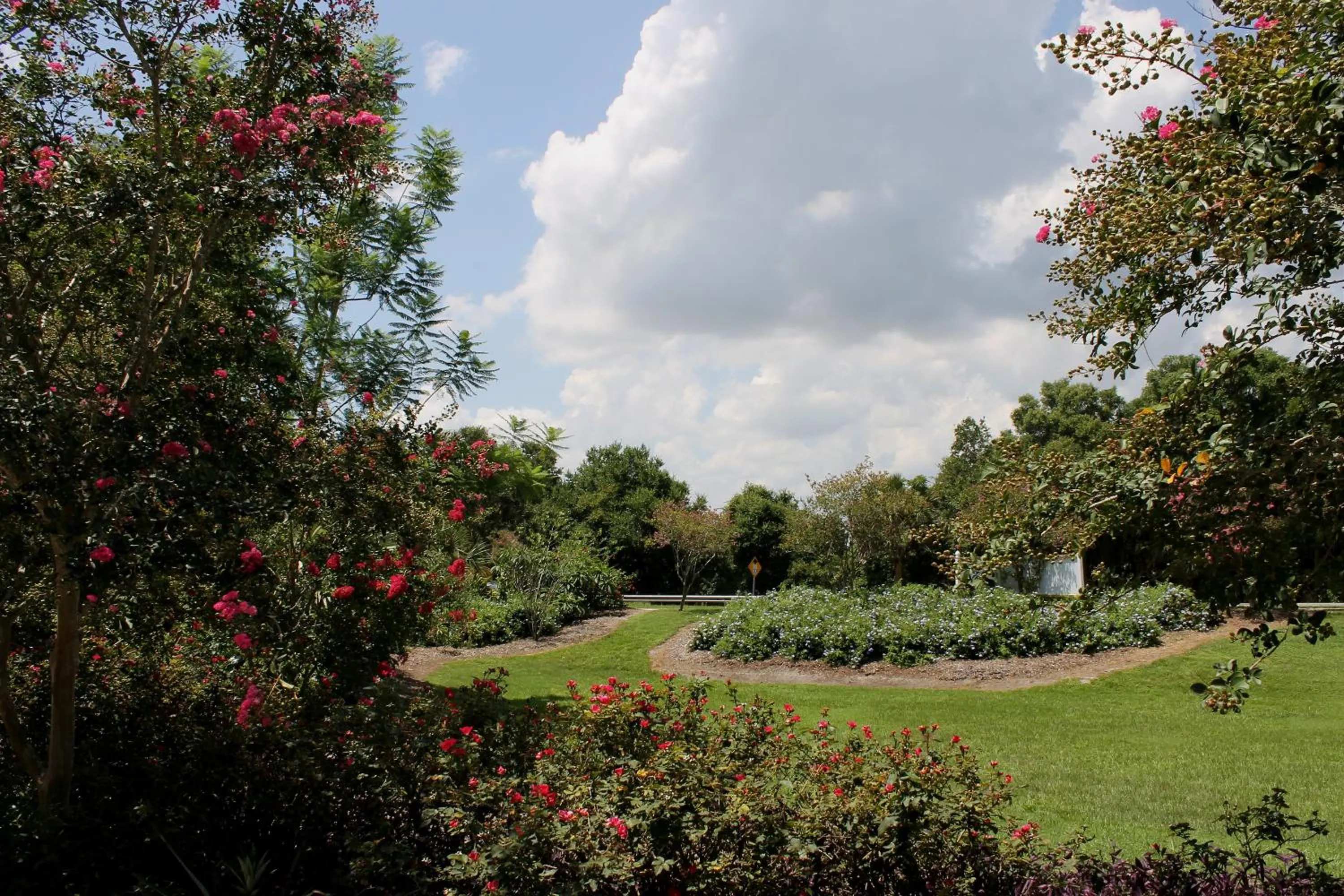 Natural landscape in Heron Cay Lakeview Bed & Breakfast