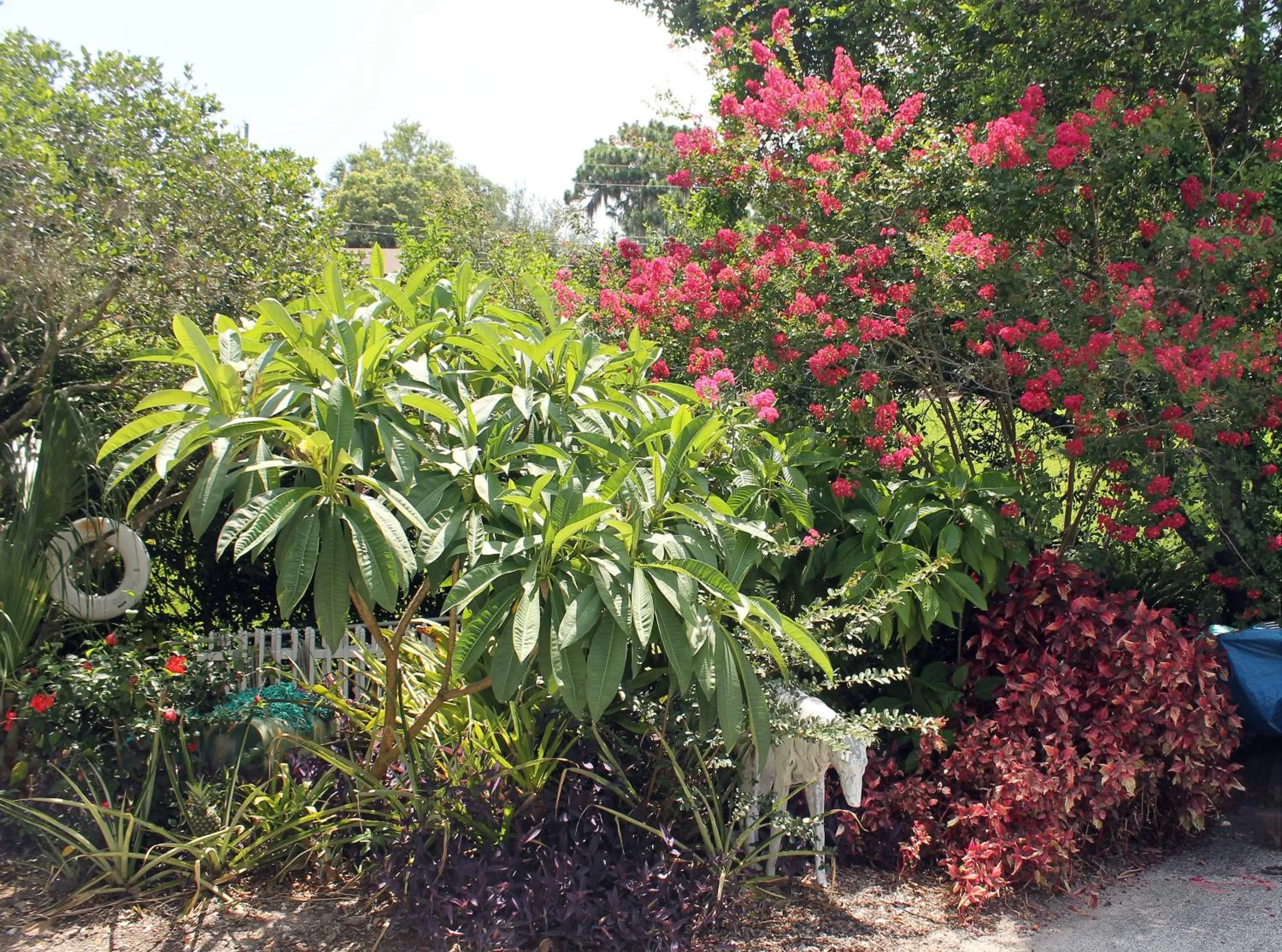 Property building in Heron Cay Lakeview Bed & Breakfast