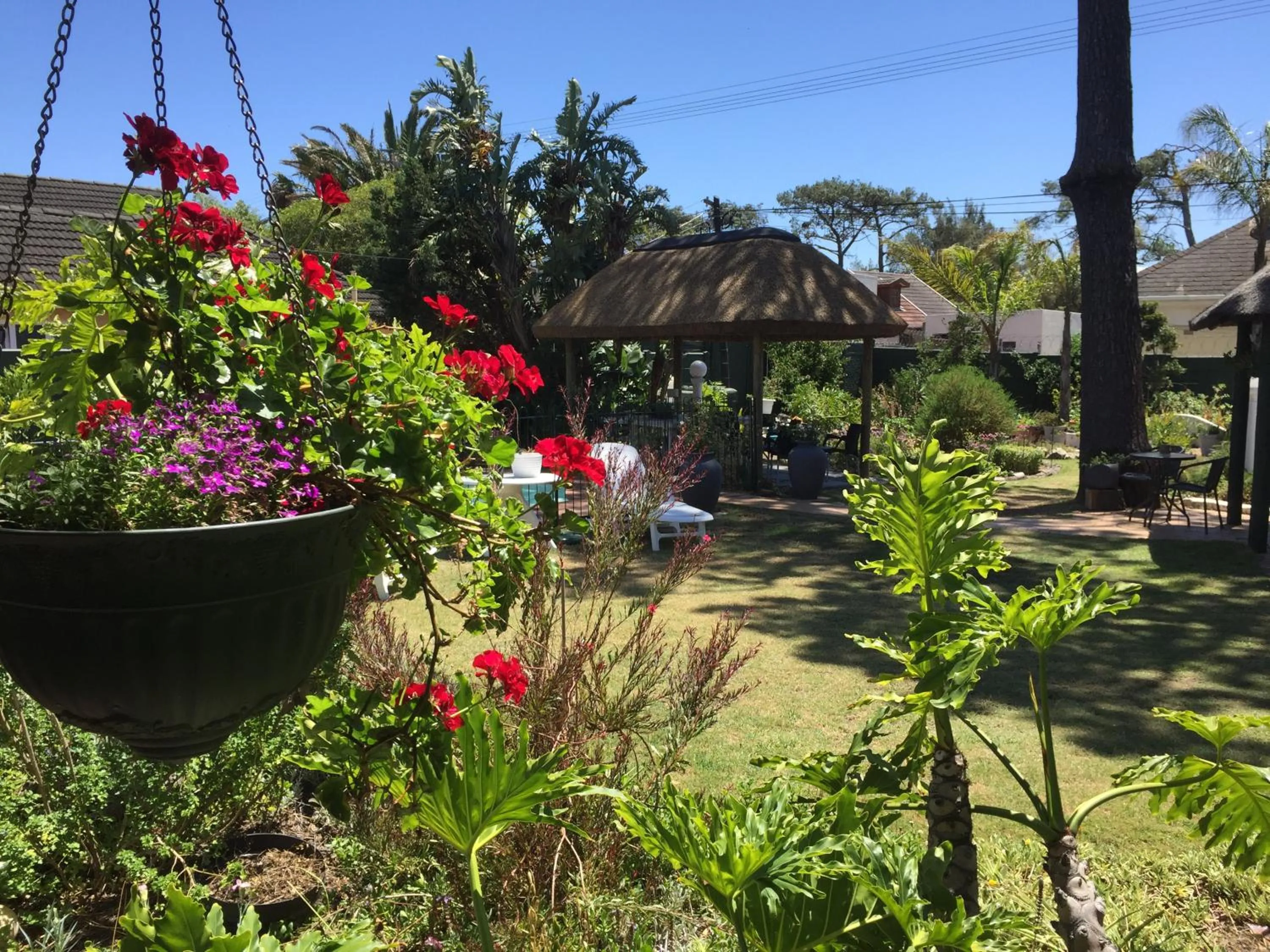 Garden in Howards End Manor B&B