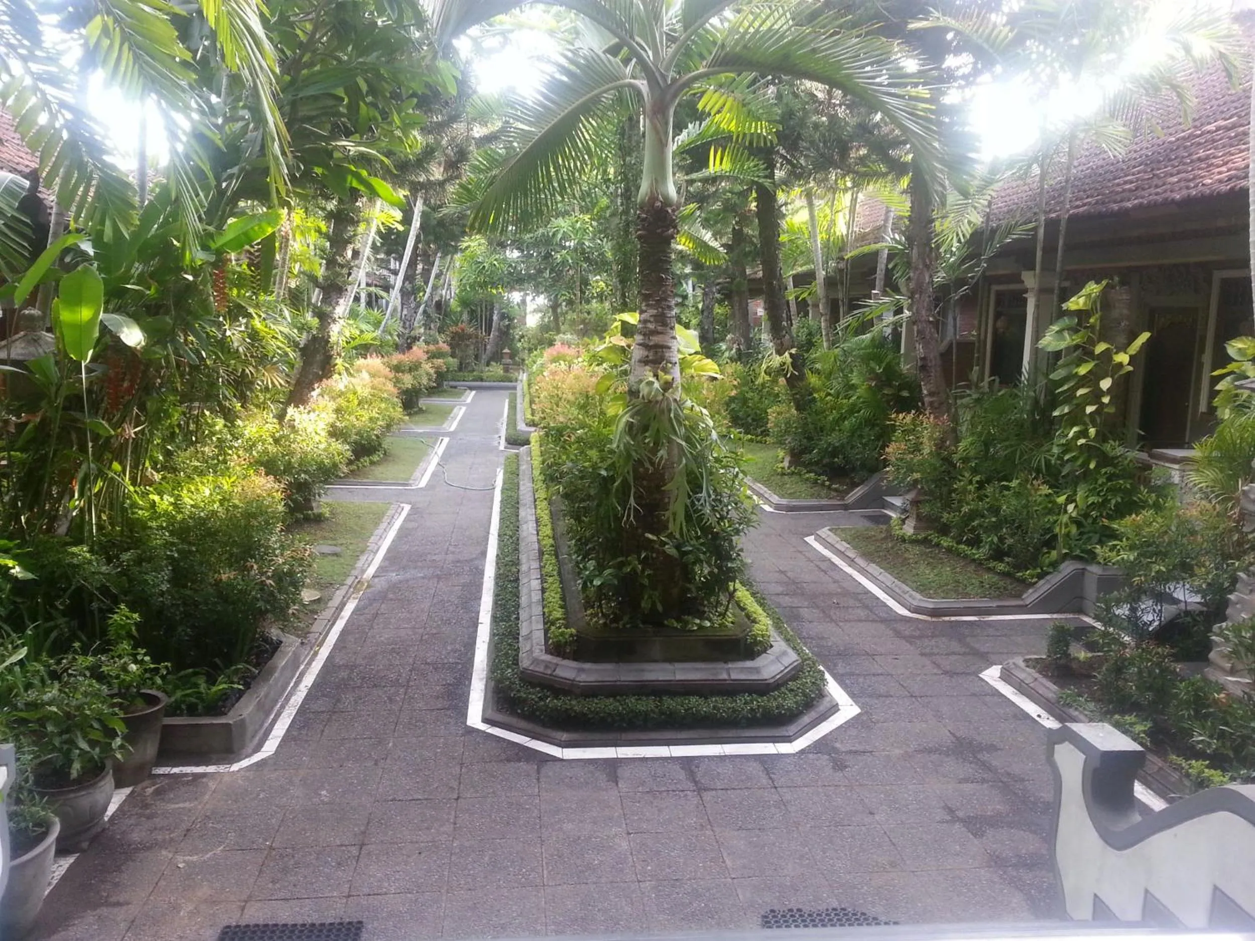 Garden in Dewa Bharata Bungalows Candidasa