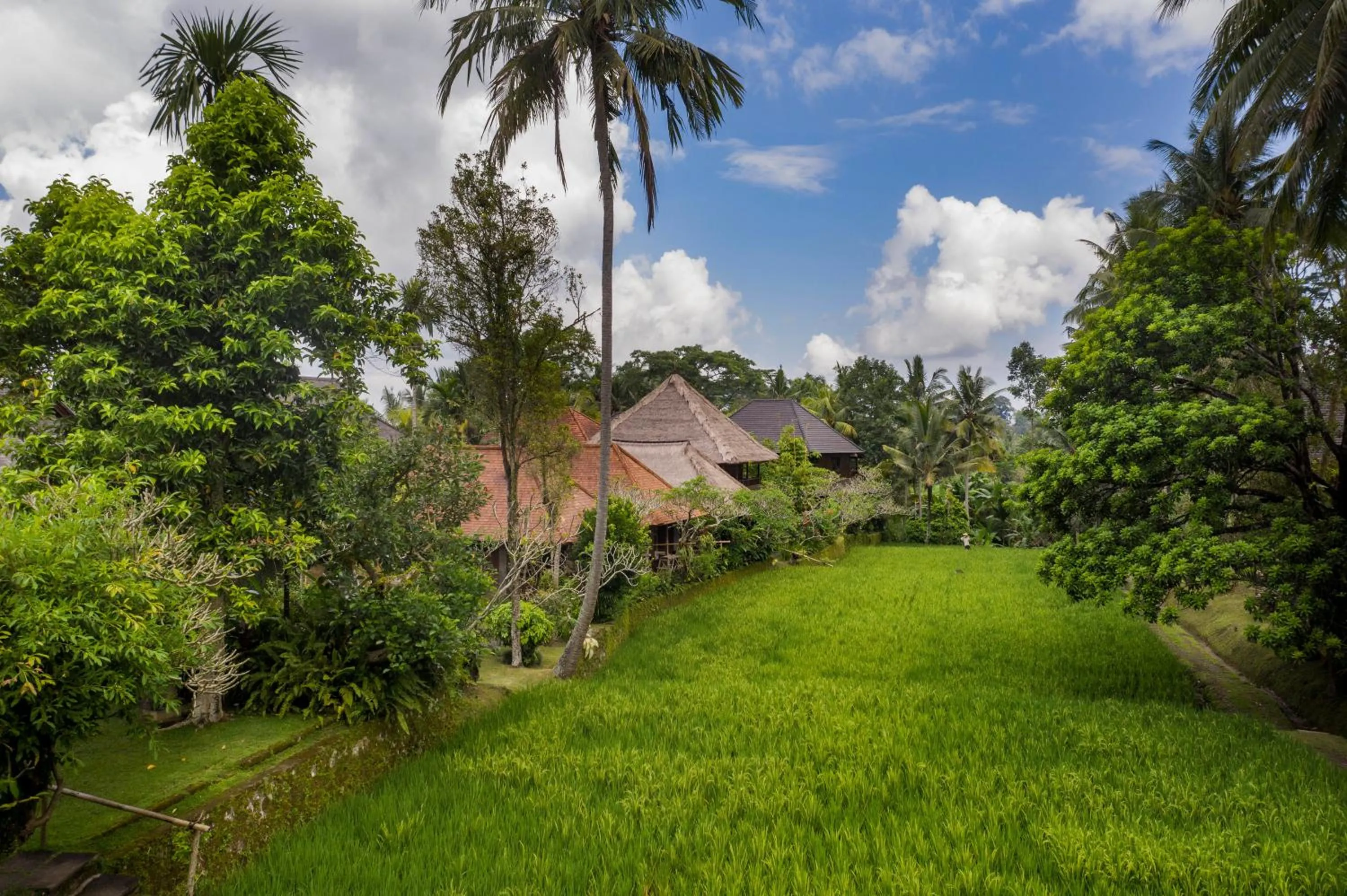 Garden view in Ananda Ubud Resort