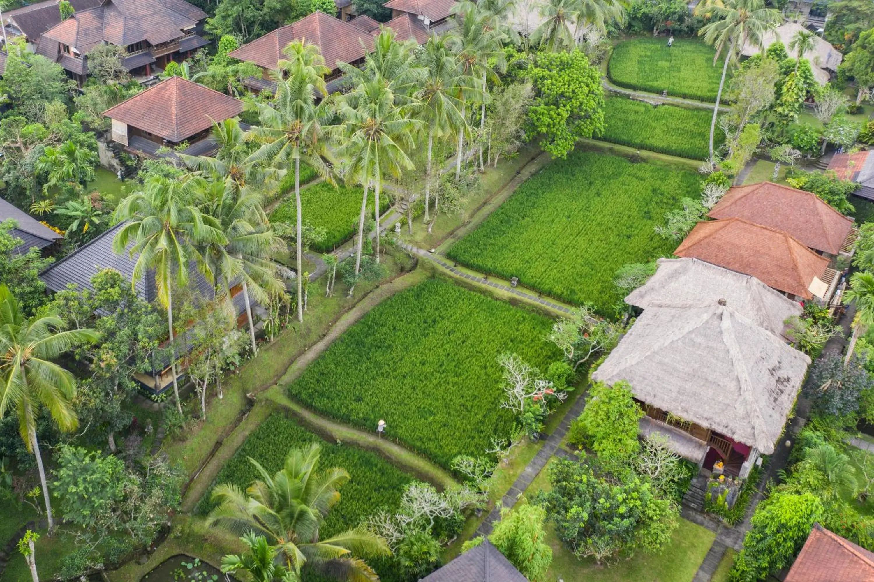Ananda Ubud Resort Ananda Ubud Resort