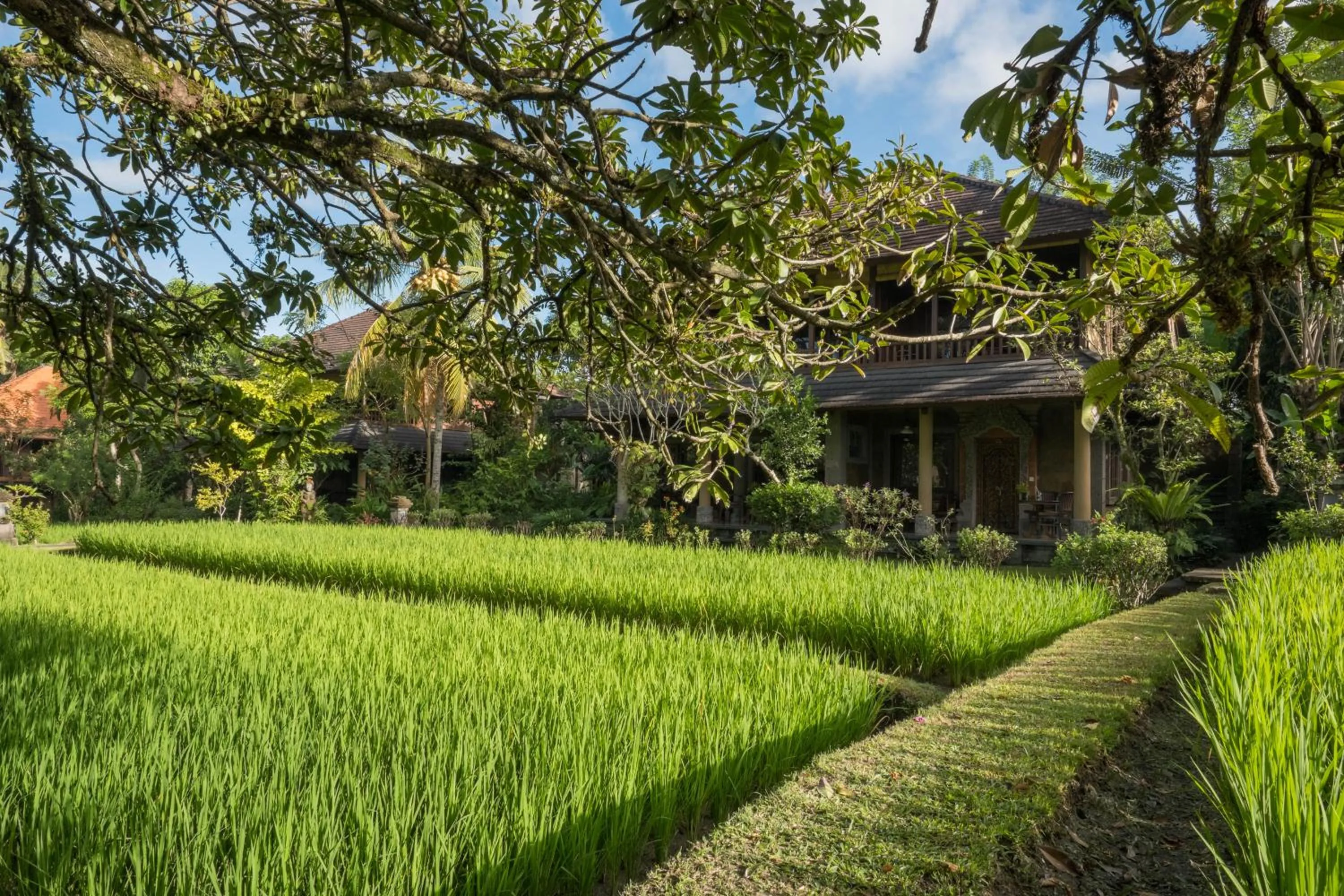 Garden in Ananda Ubud Resort