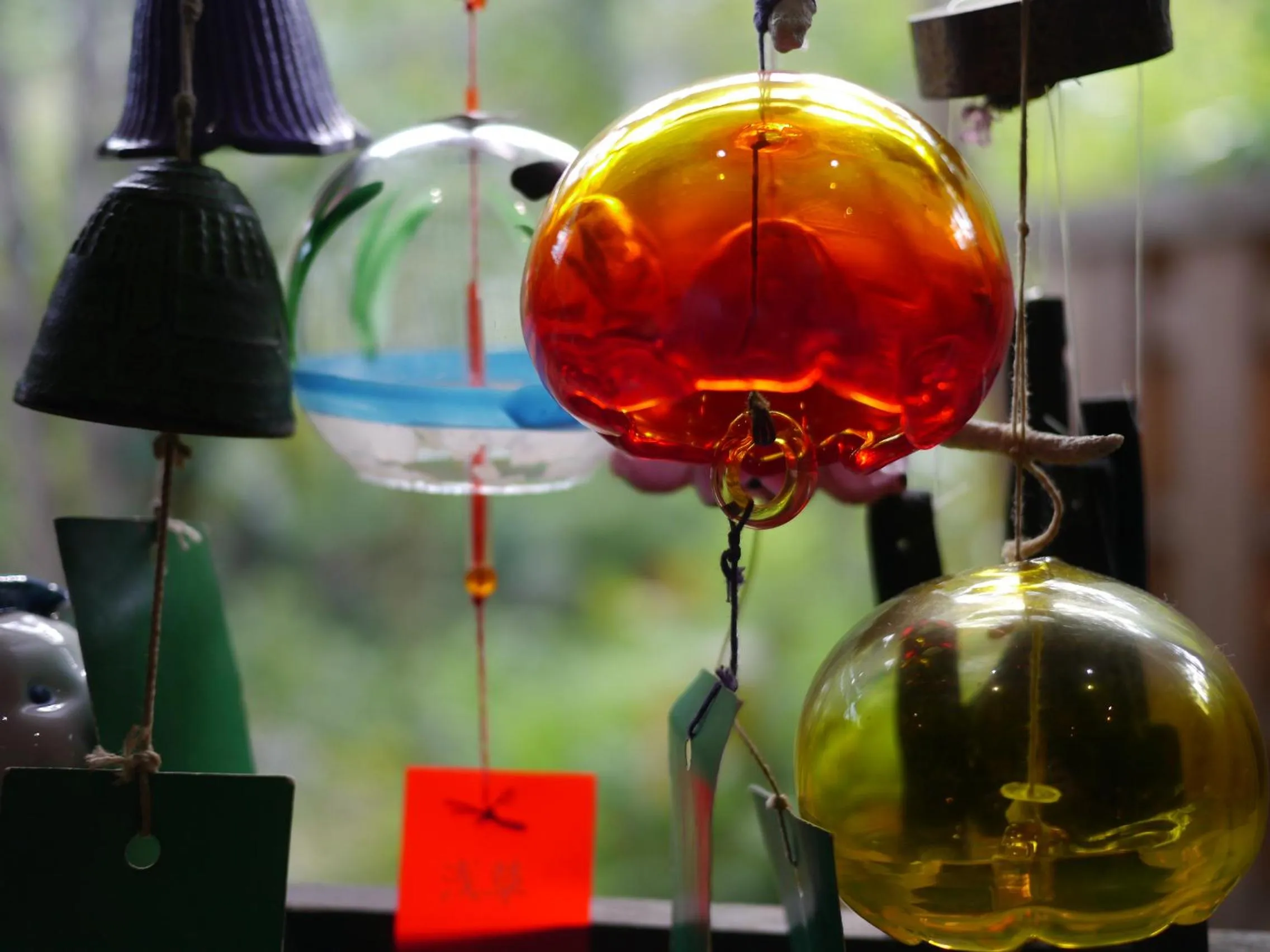 Nonohanatei komurasaki