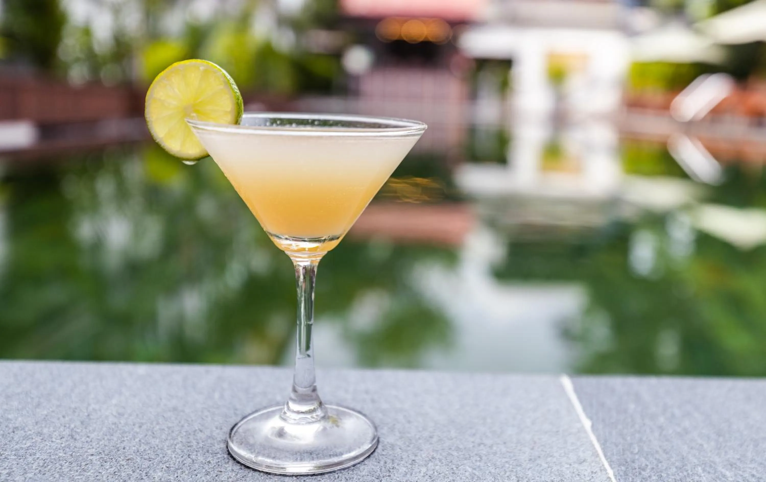 Lounge or bar in Green Amazon Residence