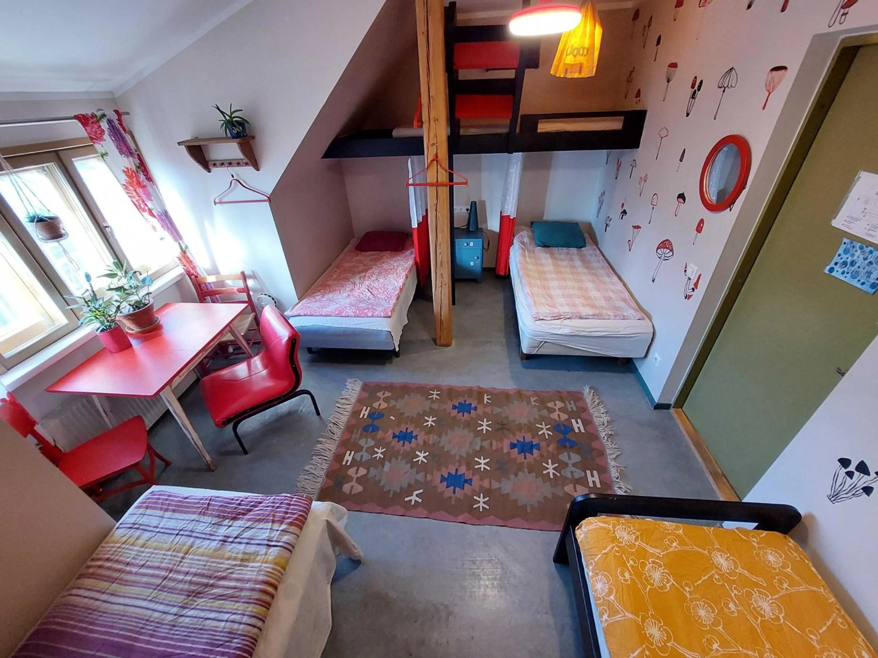 Bed in Looming Hostel