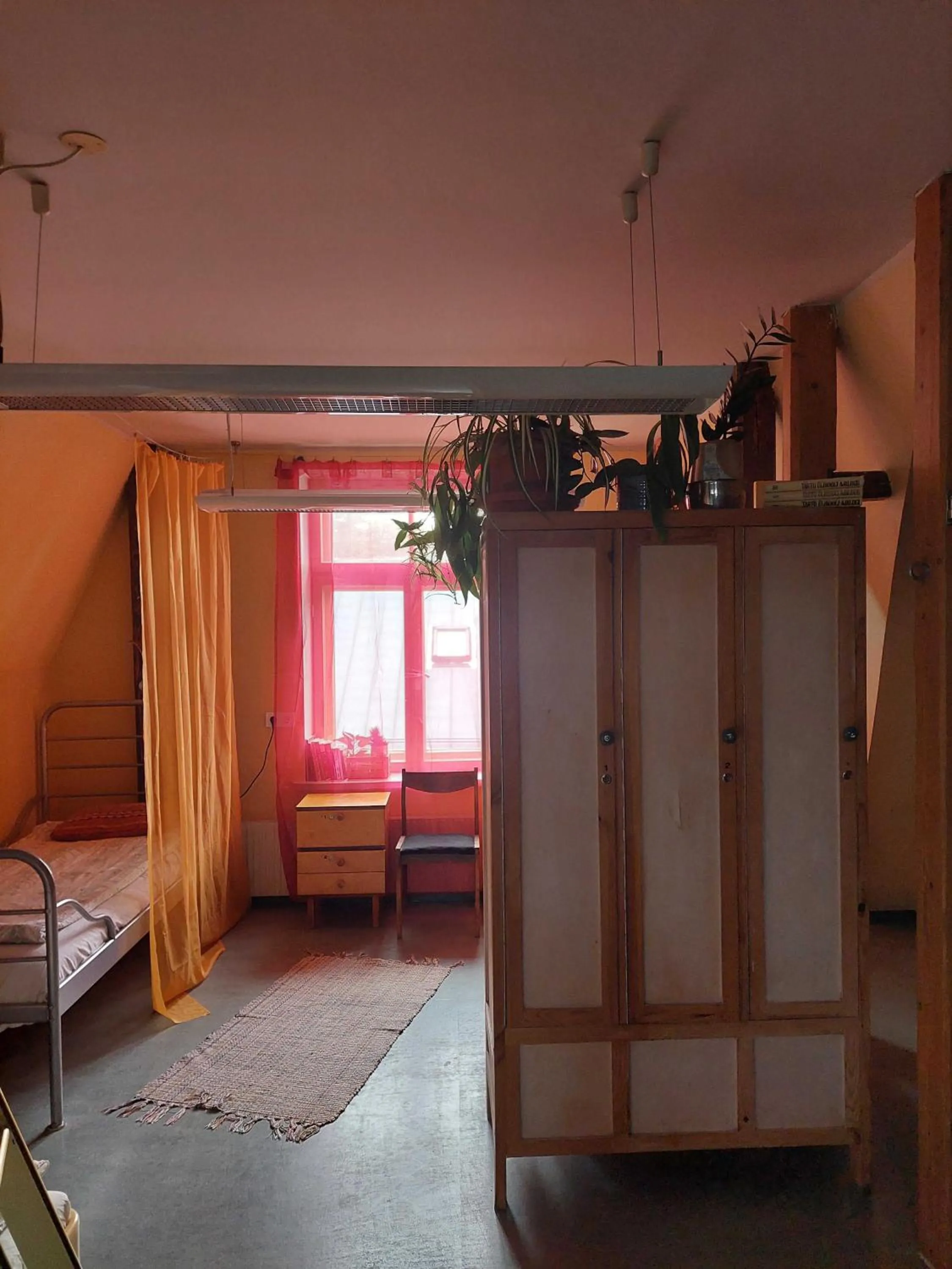 Bed in Looming Hostel