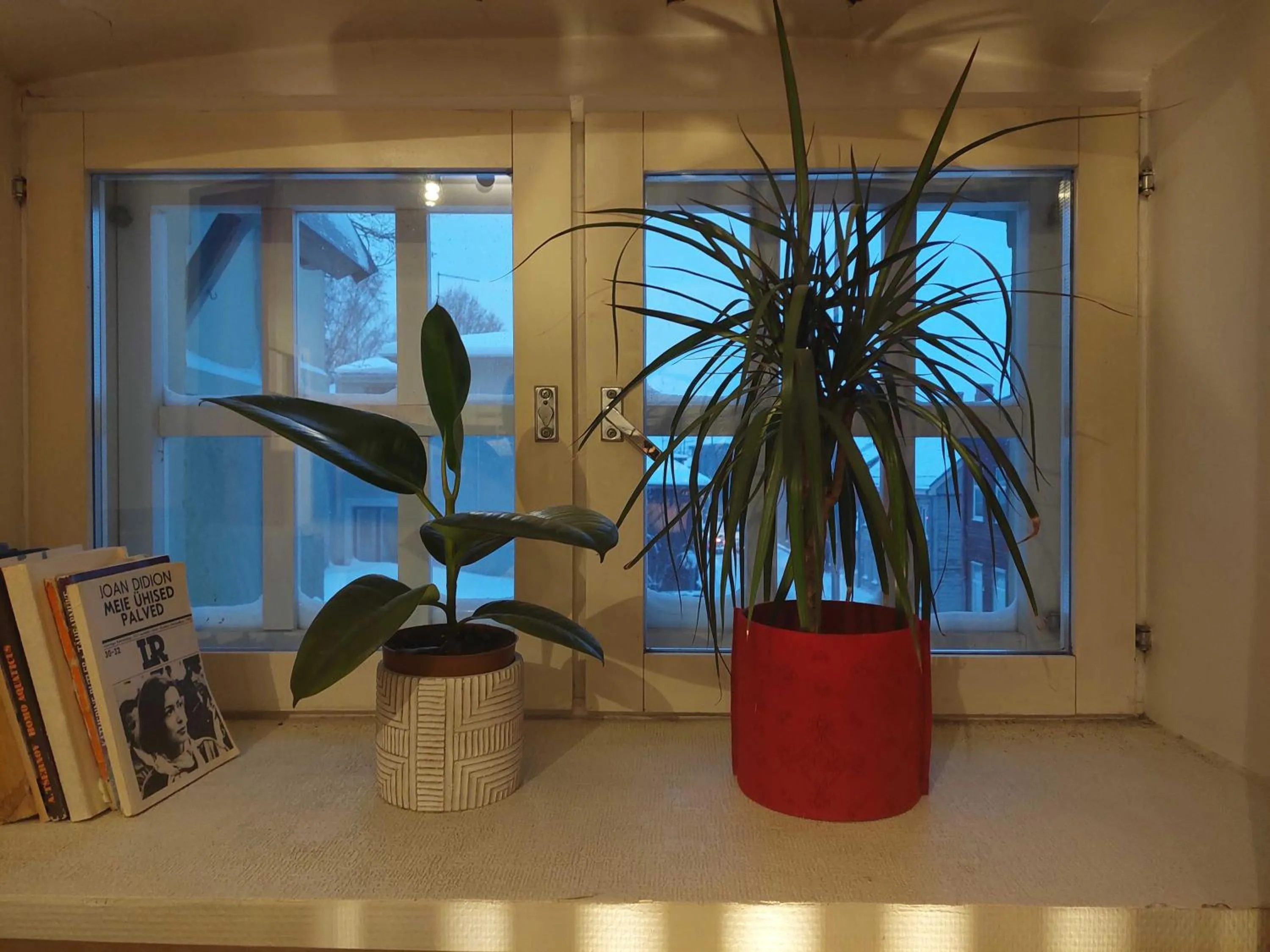 Winter in Looming Hostel