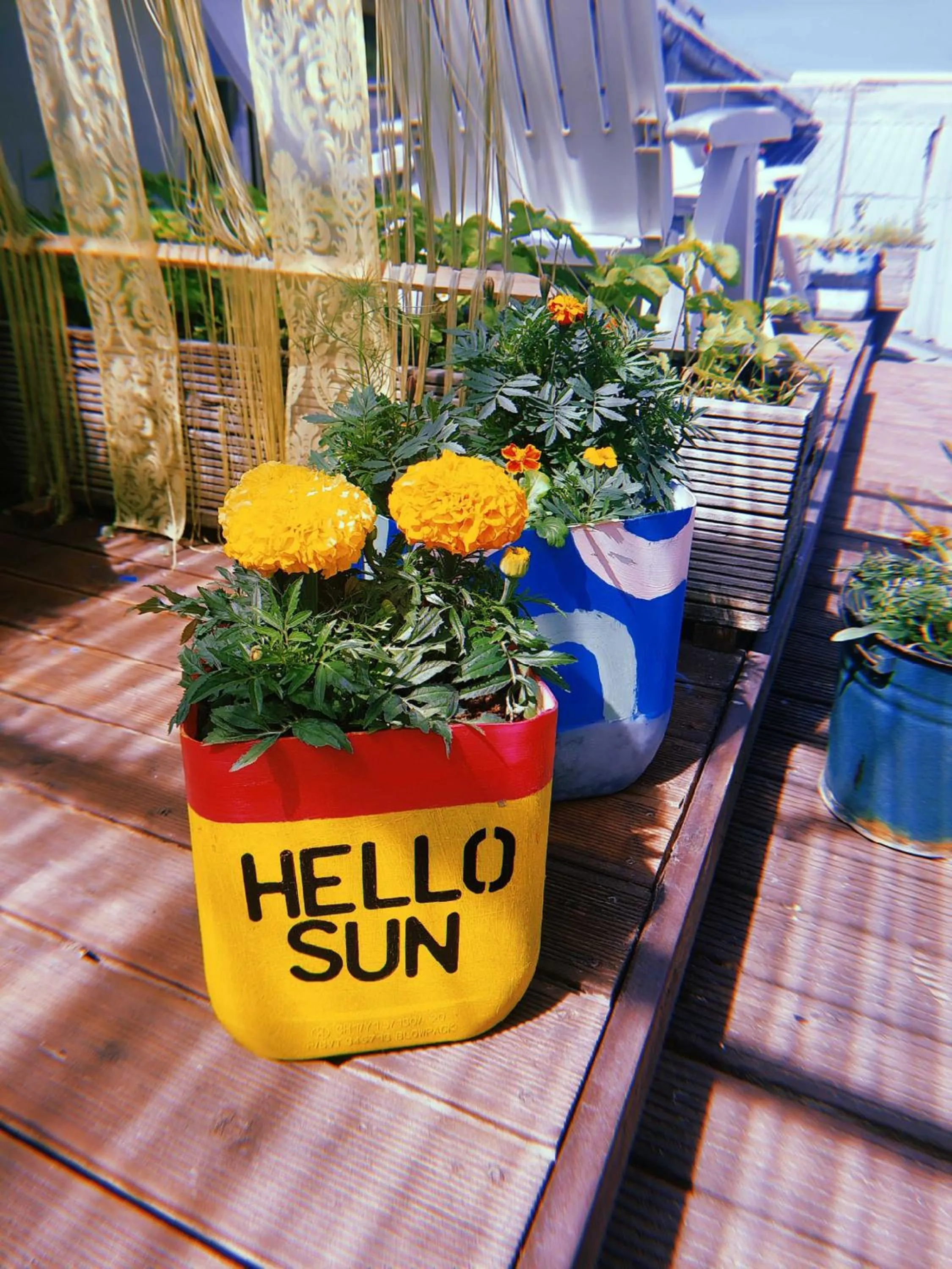 Balcony/Terrace in Looming Hostel