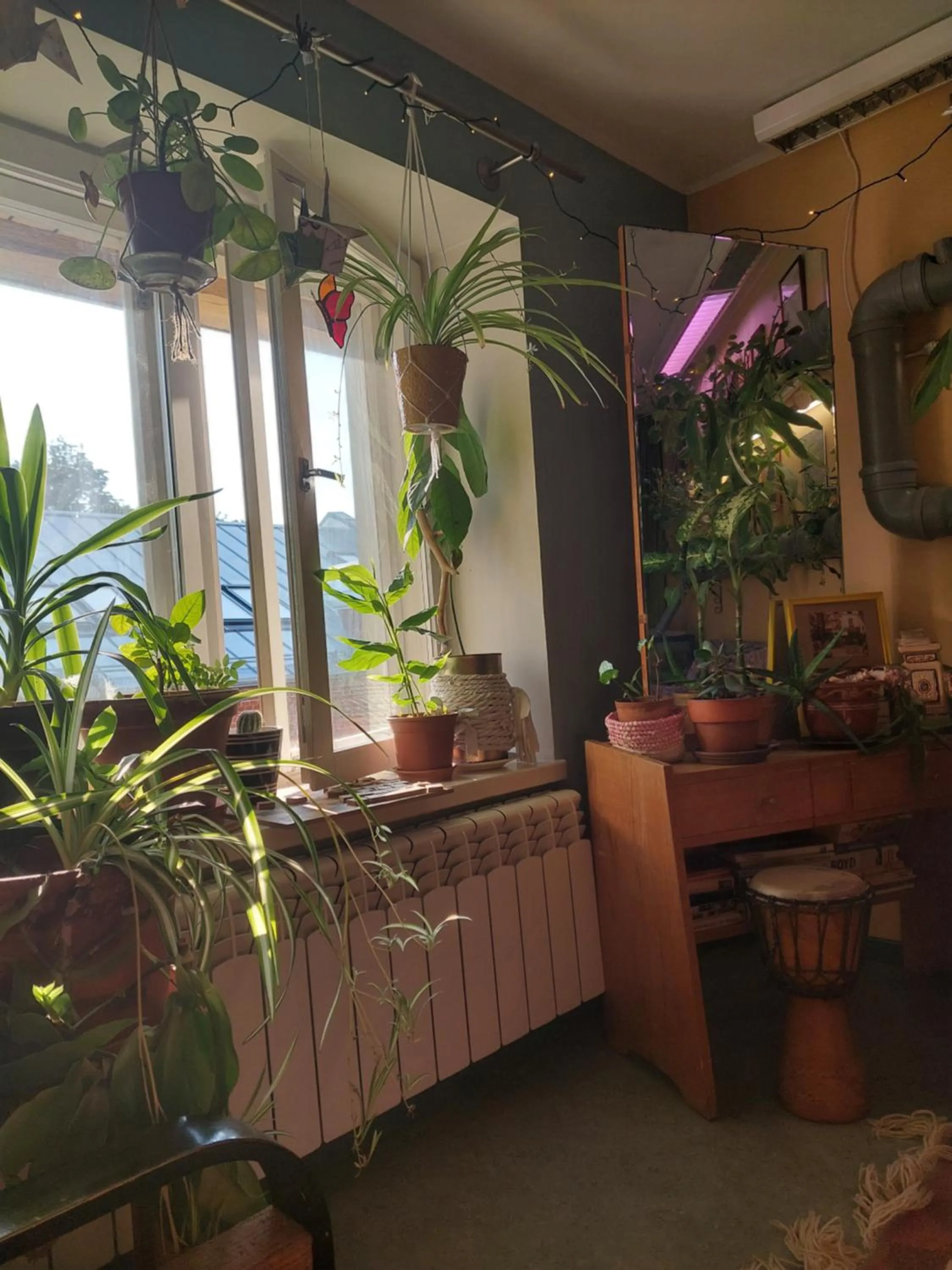 Communal lounge/ TV room in Looming Hostel