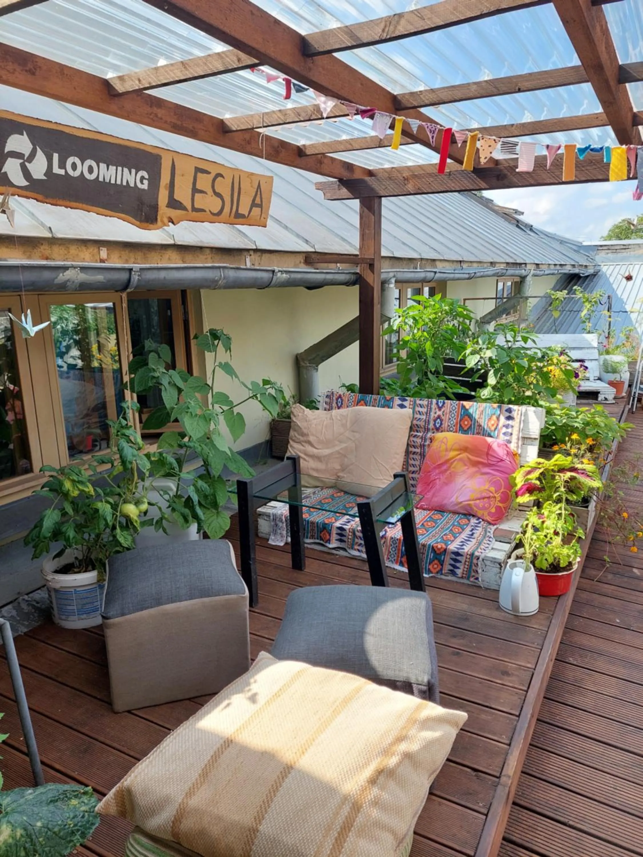 Patio in Looming Hostel