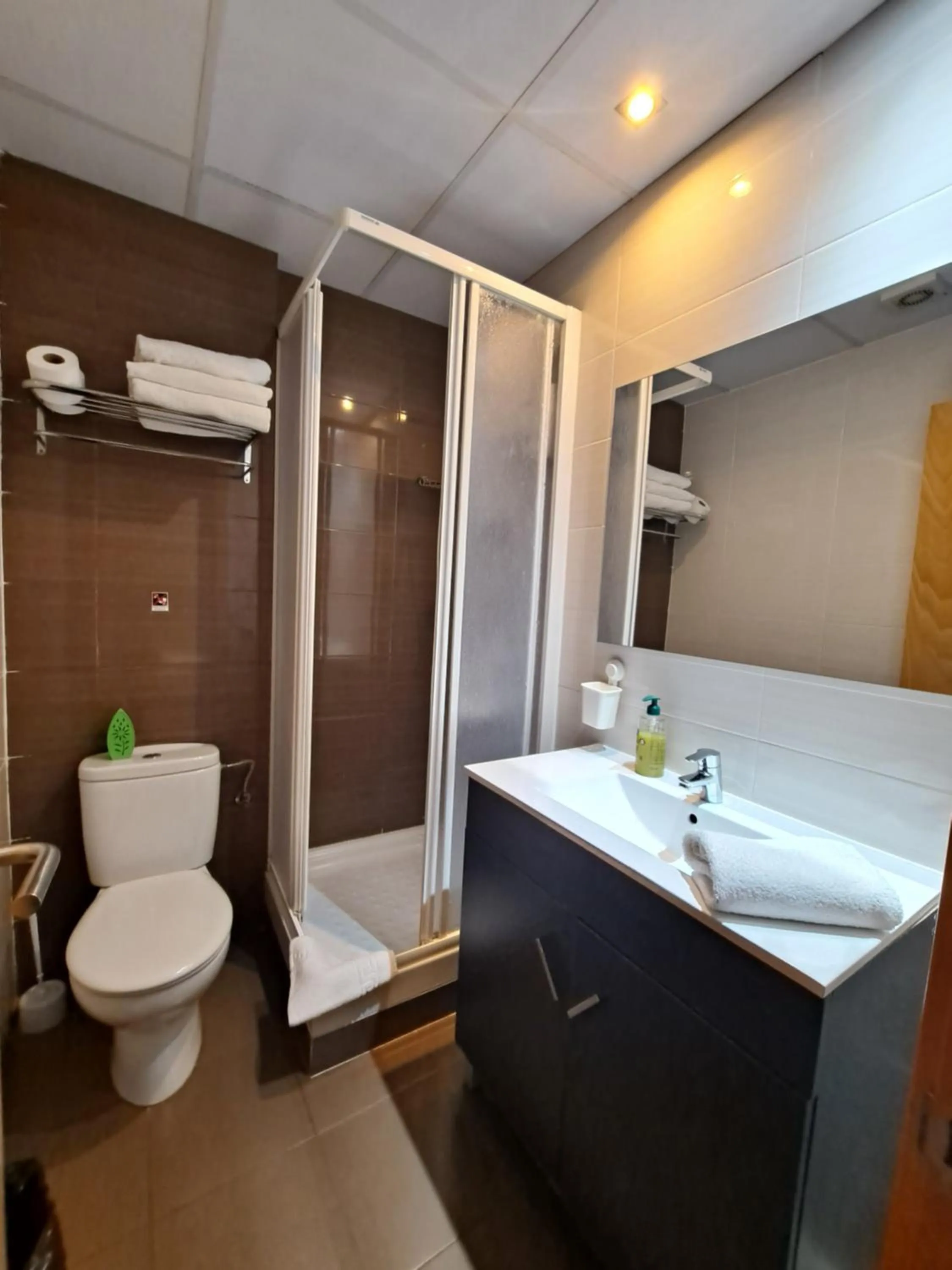 Bathroom in Hostal Las Flores Ramblas