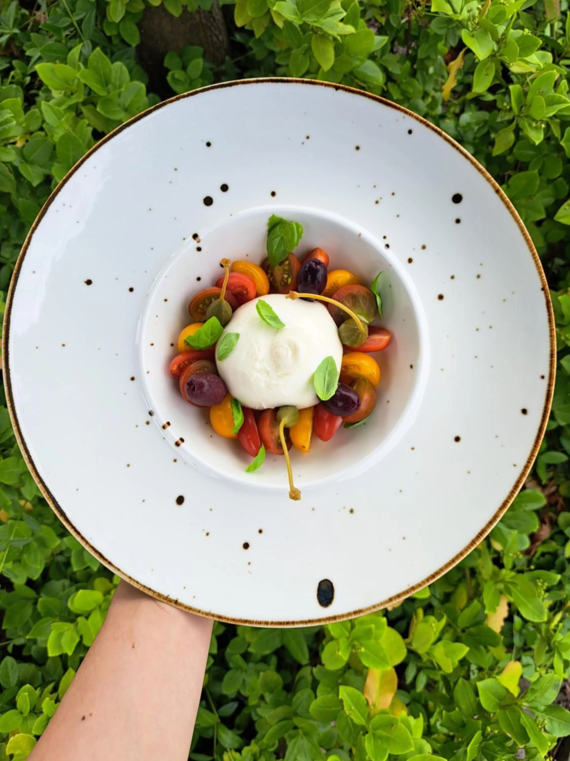 Food and drinks in Senator Gran Via