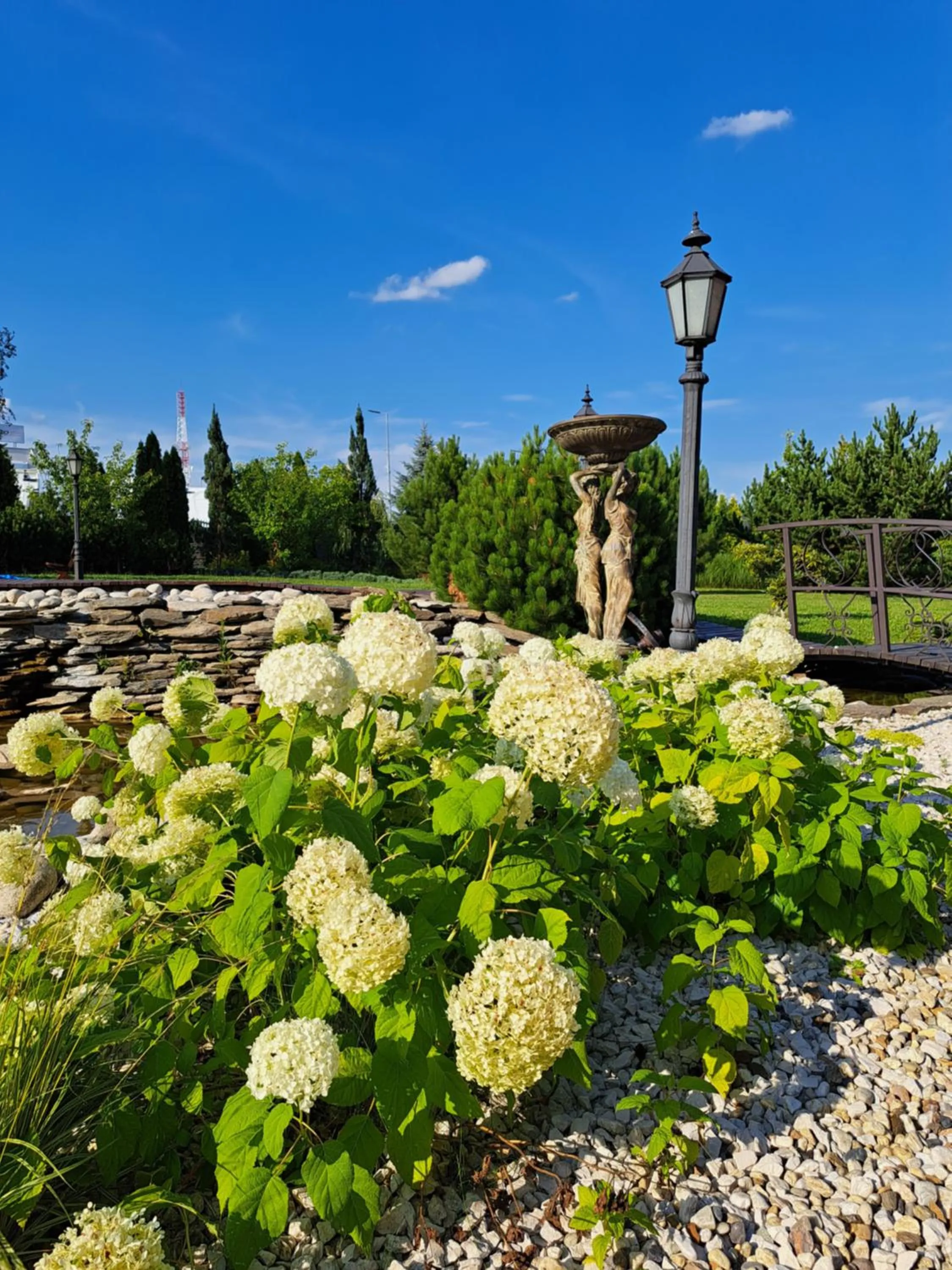 Garden in Senator Gran Via