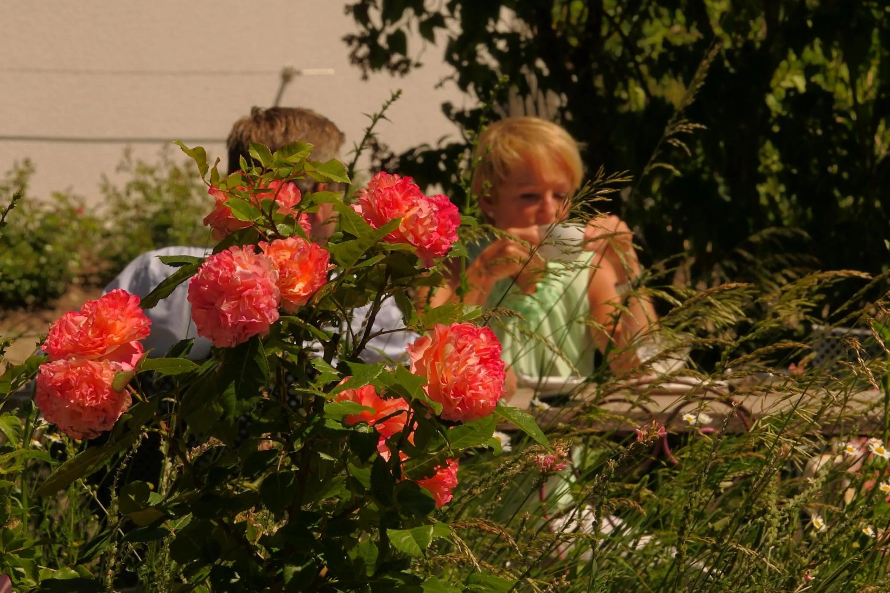 Garden in Gret-Stube