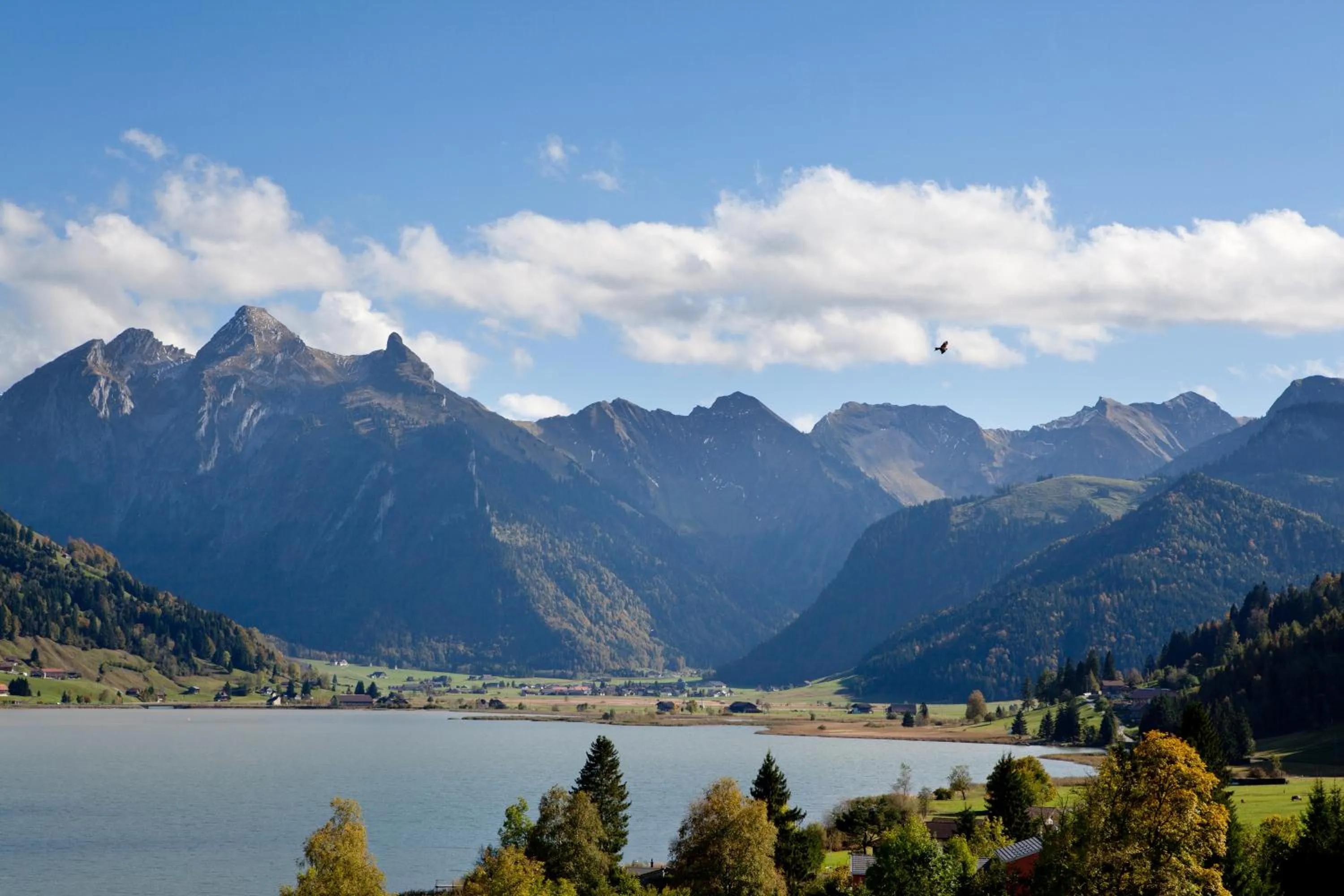 Natural landscape in B&B Ferienhof am See