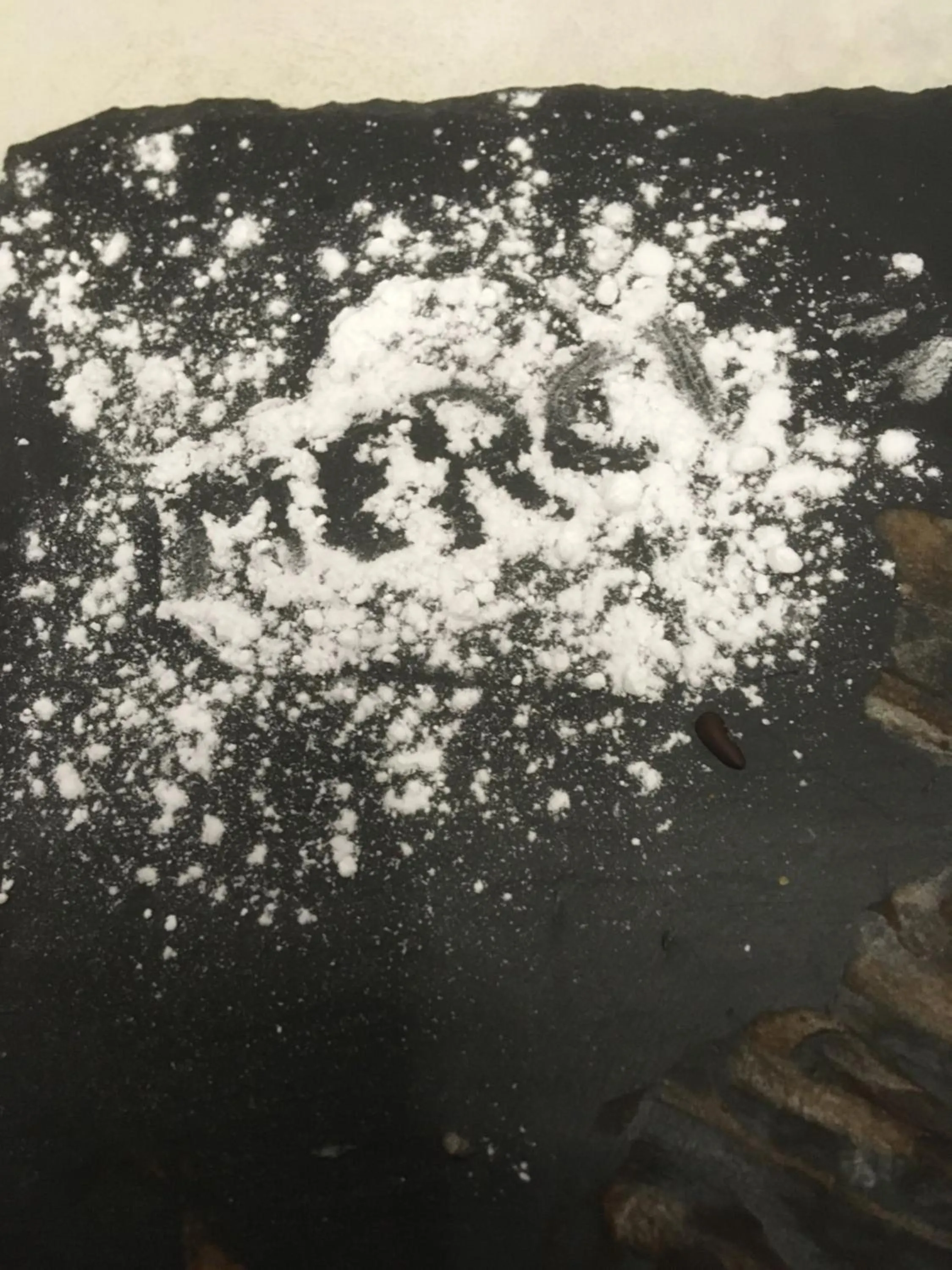 Restaurant/places to eat in L'hostellerie du chateau