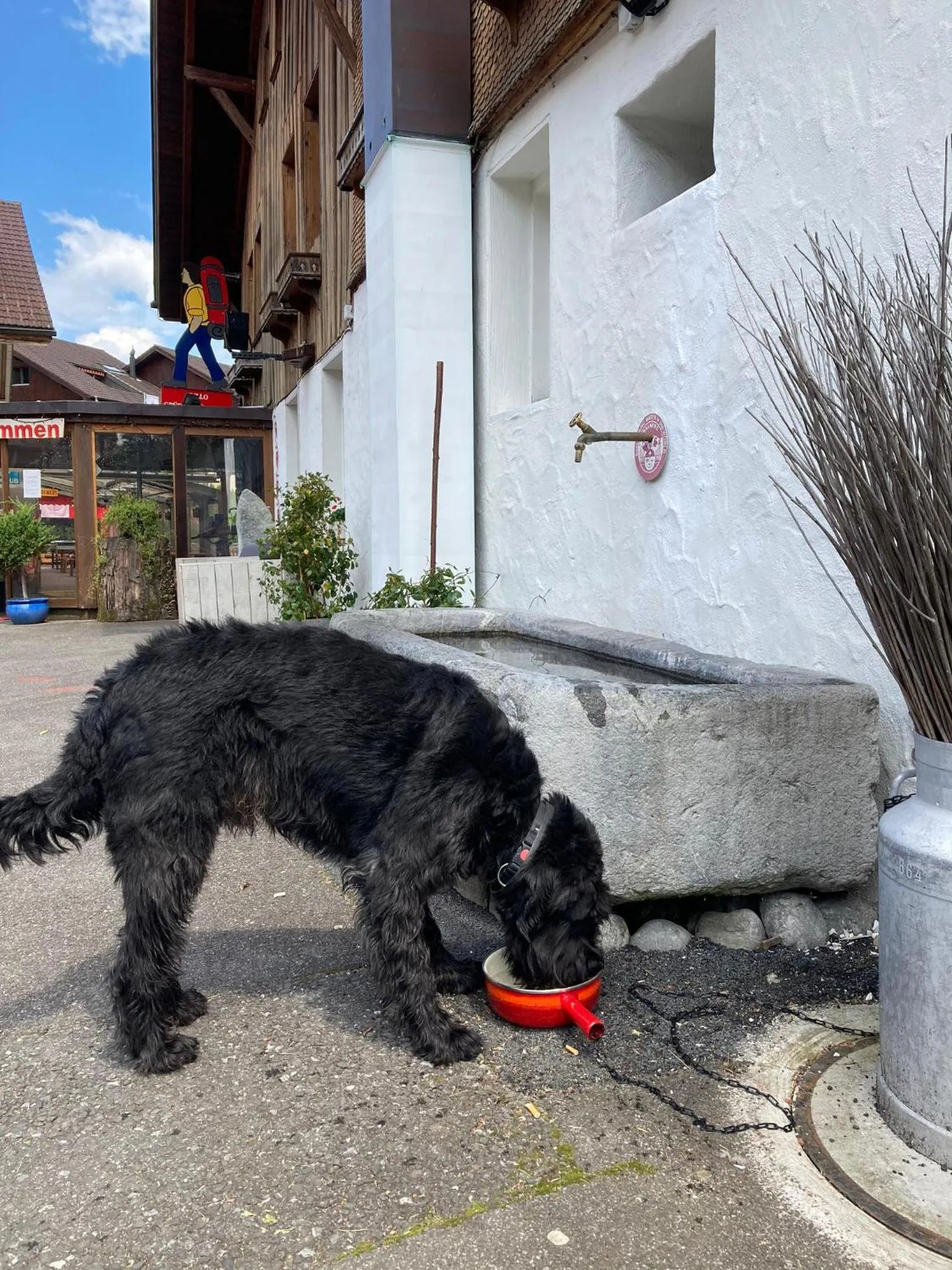 Pets in Balmers Hostel