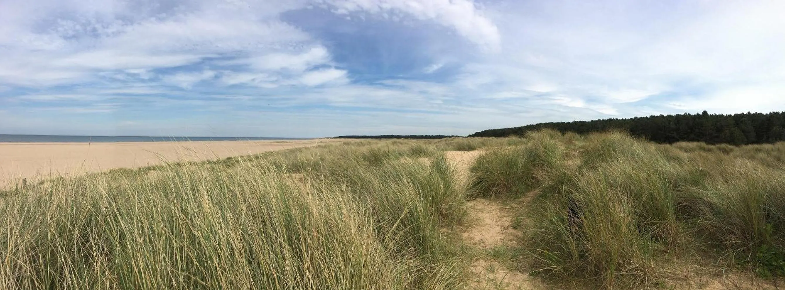 Beach in The Globe Inn