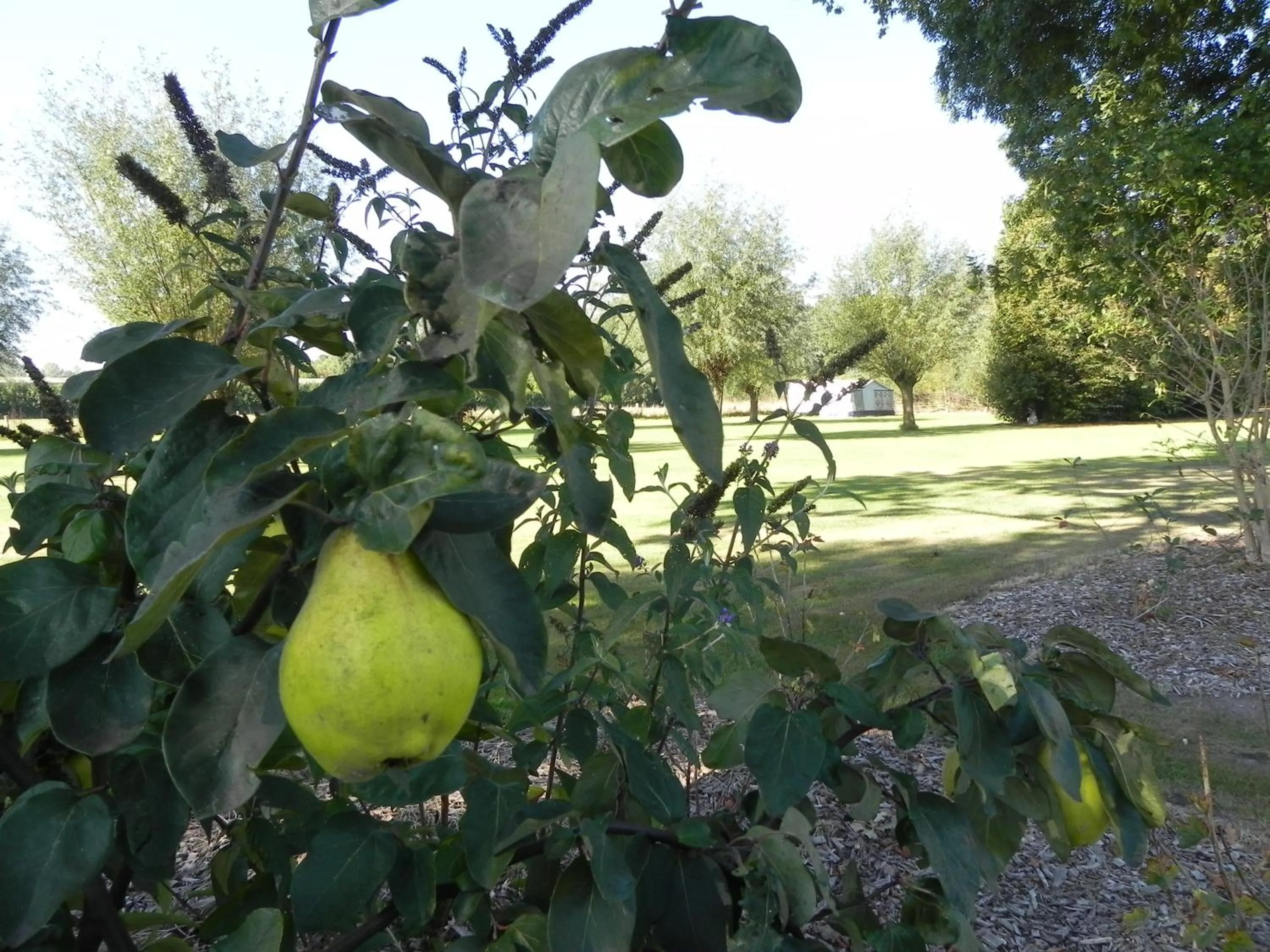 Neighbourhood in Hoeve de Mertel