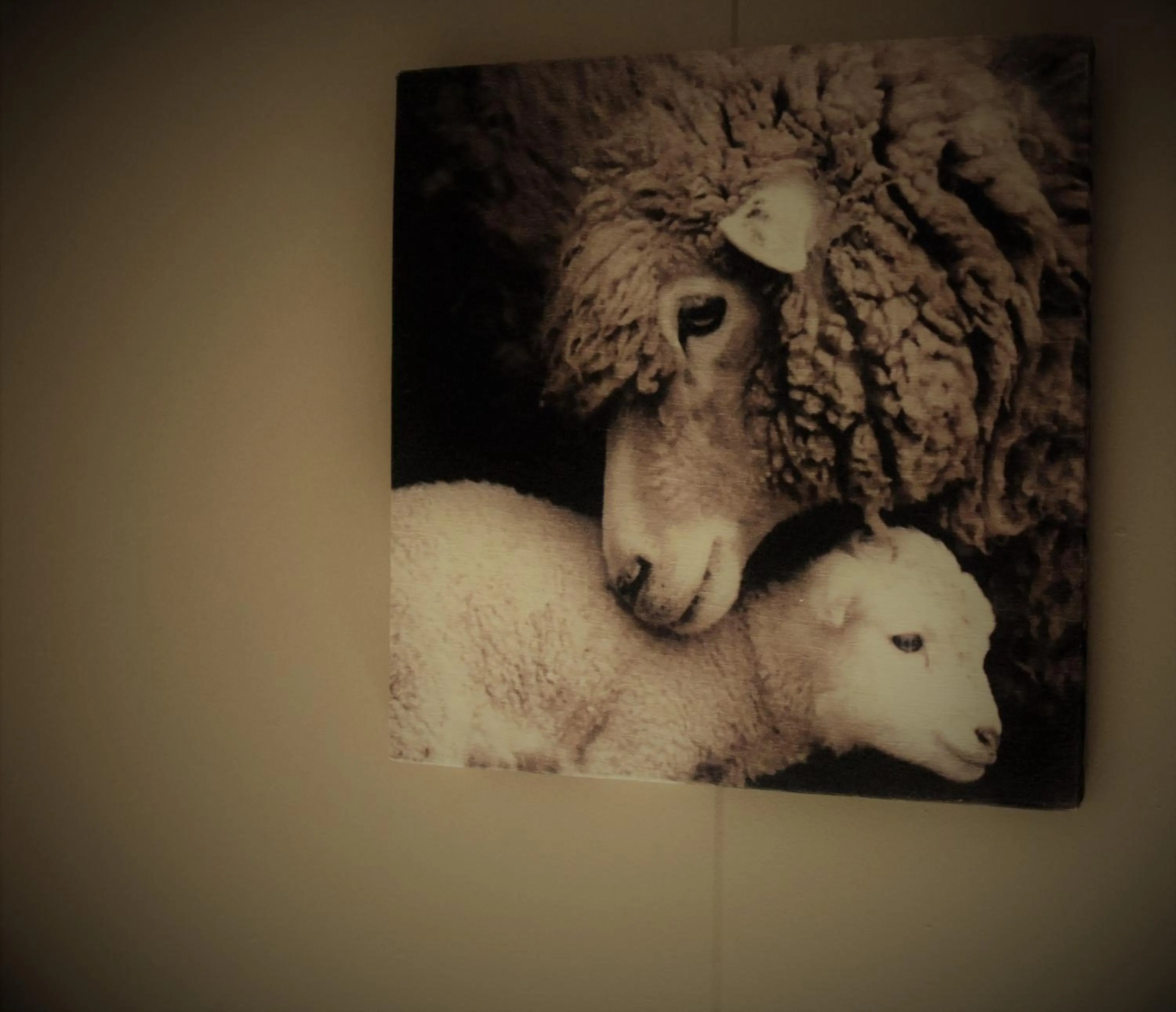 Decorative detail in Hoeve de Mertel