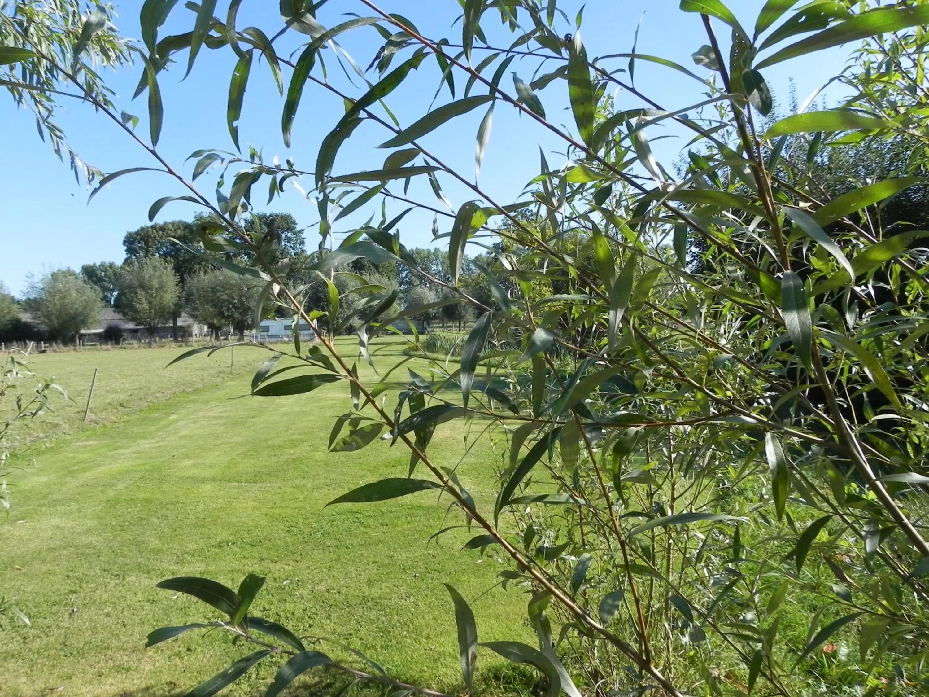 Natural landscape in Hoeve de Mertel