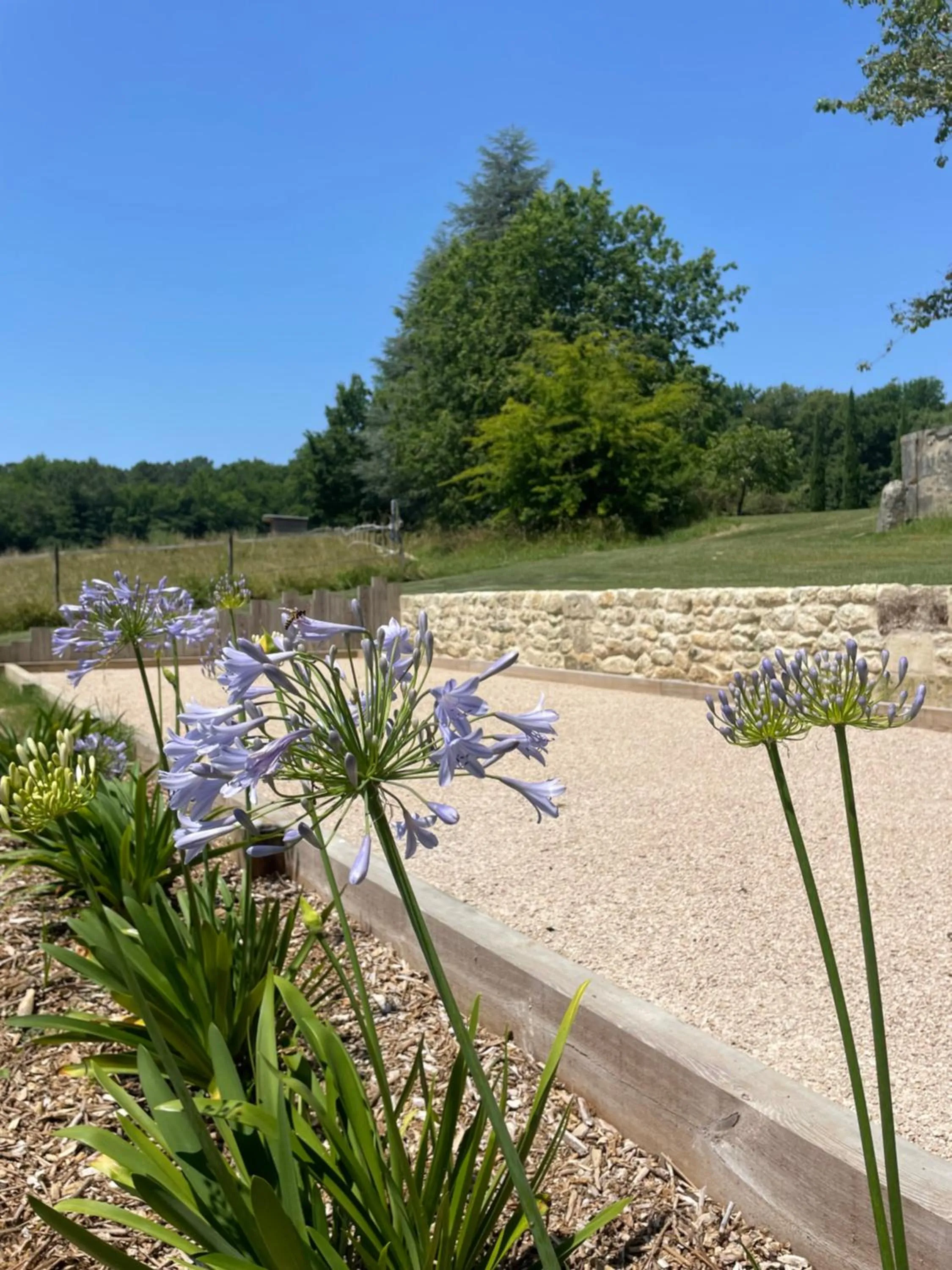 Garden in Les Bulles De Bordeaux