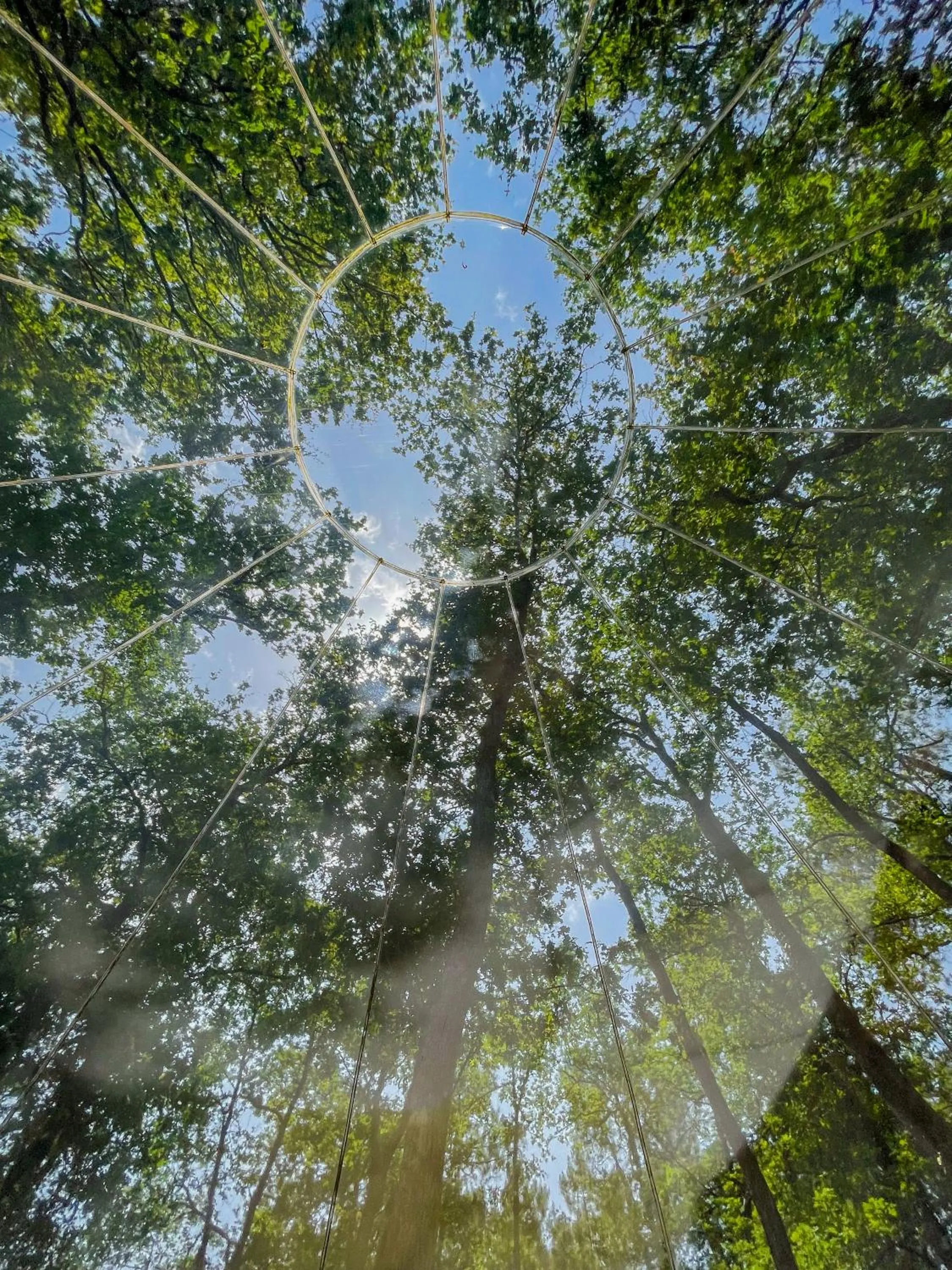 Day in Les Bulles De Bordeaux