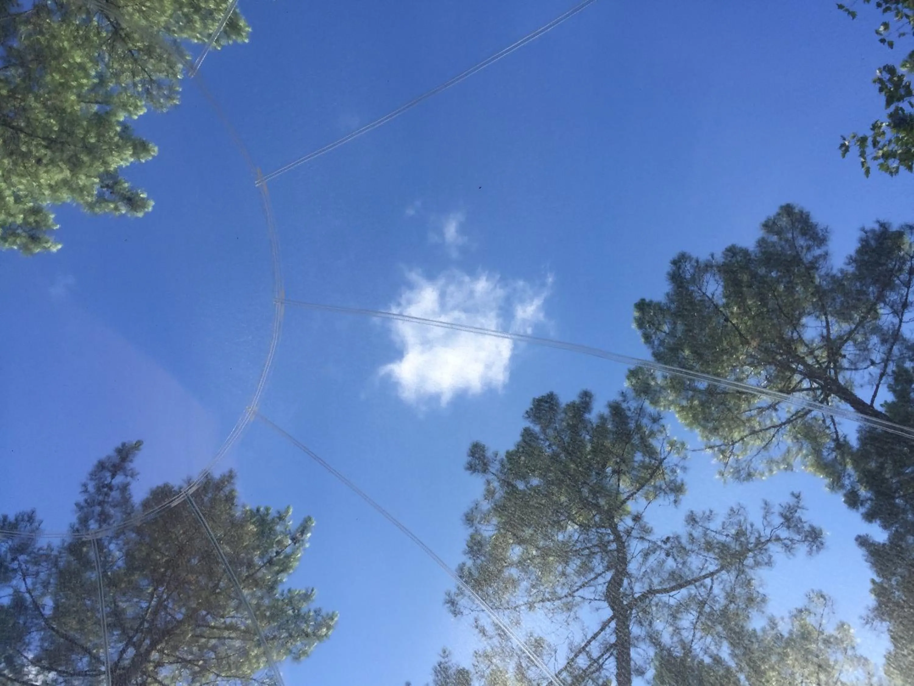 View (from property/room) in Les Bulles De Bordeaux