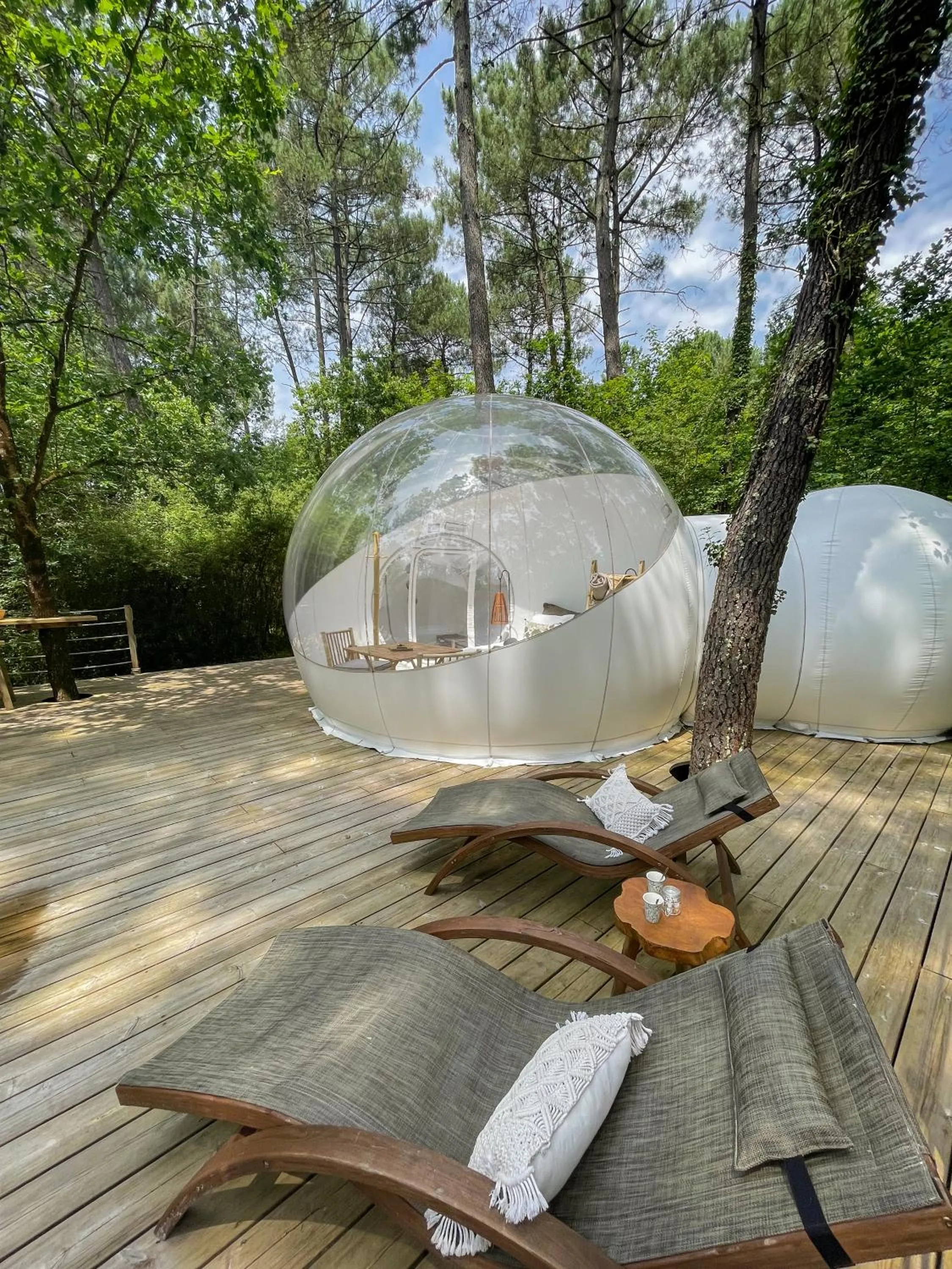 Photo of the whole room in Les Bulles De Bordeaux