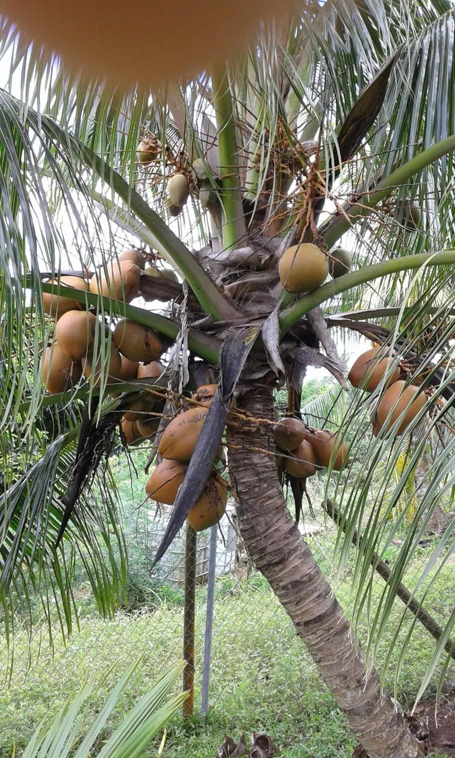 Natural landscape in Chez Karine & Harold