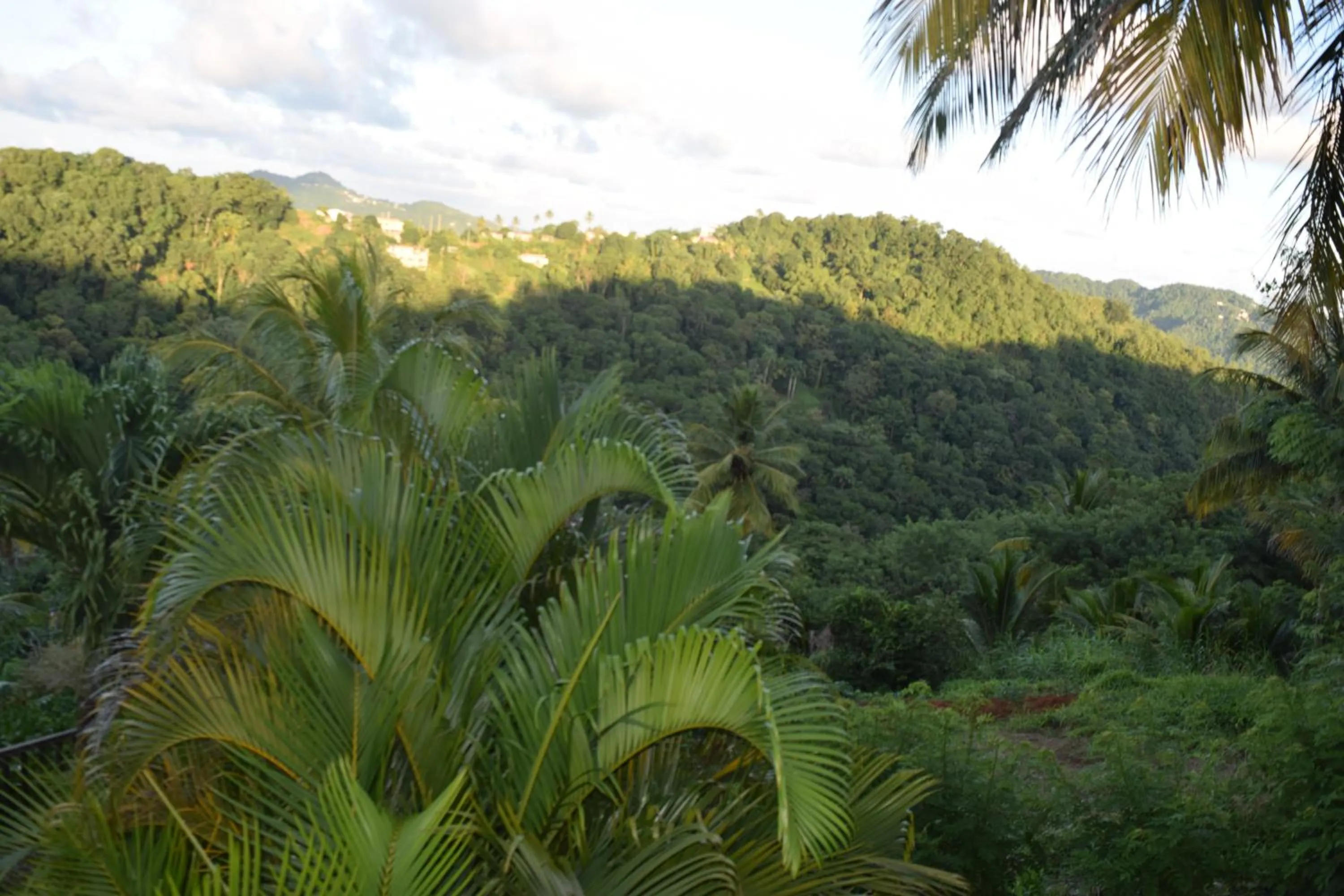 Natural landscape in Chez Karine & Harold