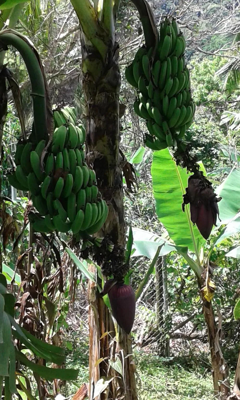 Natural landscape in Chez Karine & Harold