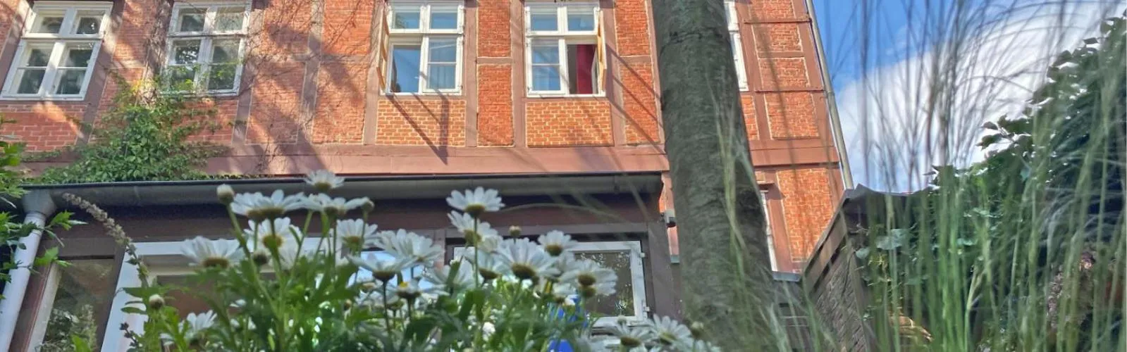 Garden in Frauenhotel Hanseatin - Women Only