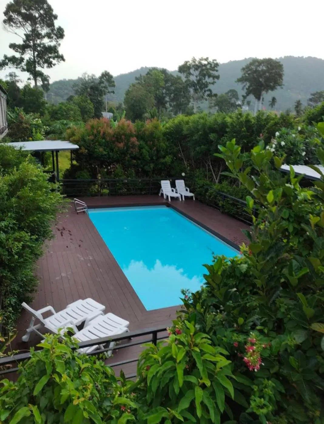 Day in Phannarai House