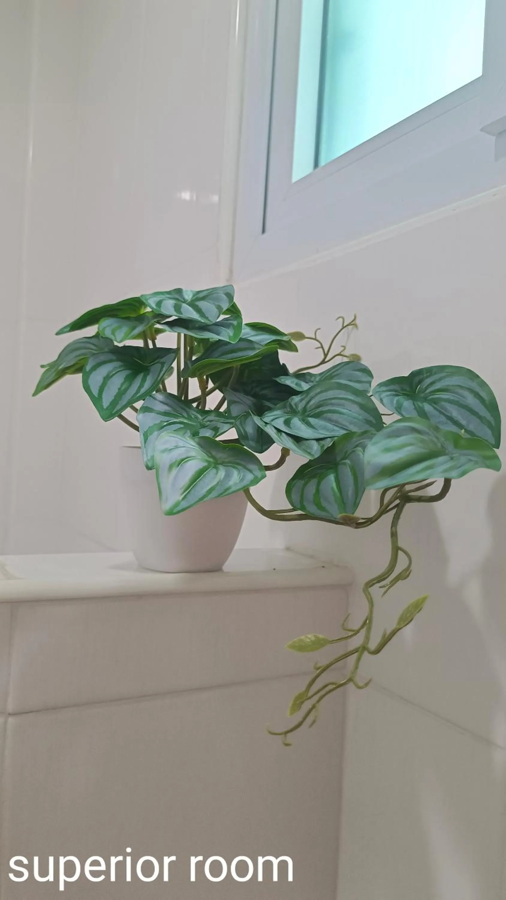 Bathroom in Phannarai House