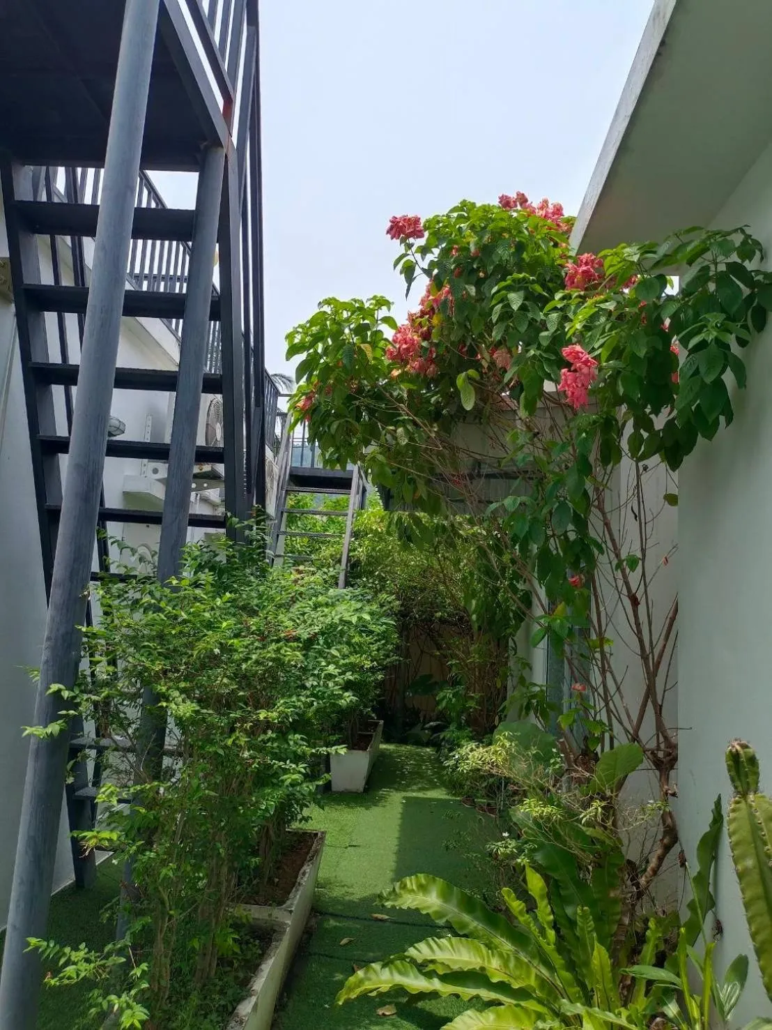 Photo of the whole room in Phannarai House