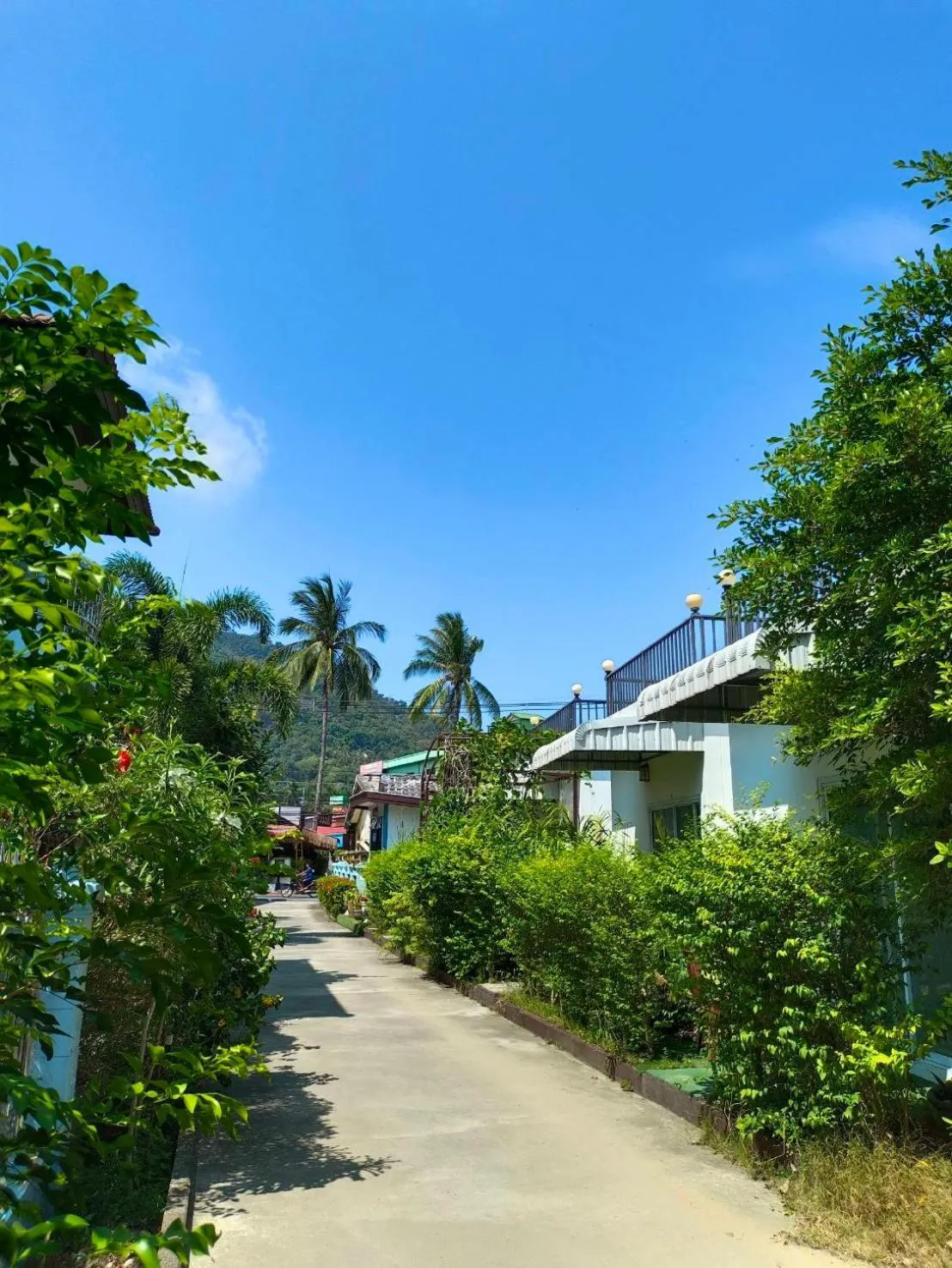 Photo of the whole room in Phannarai House