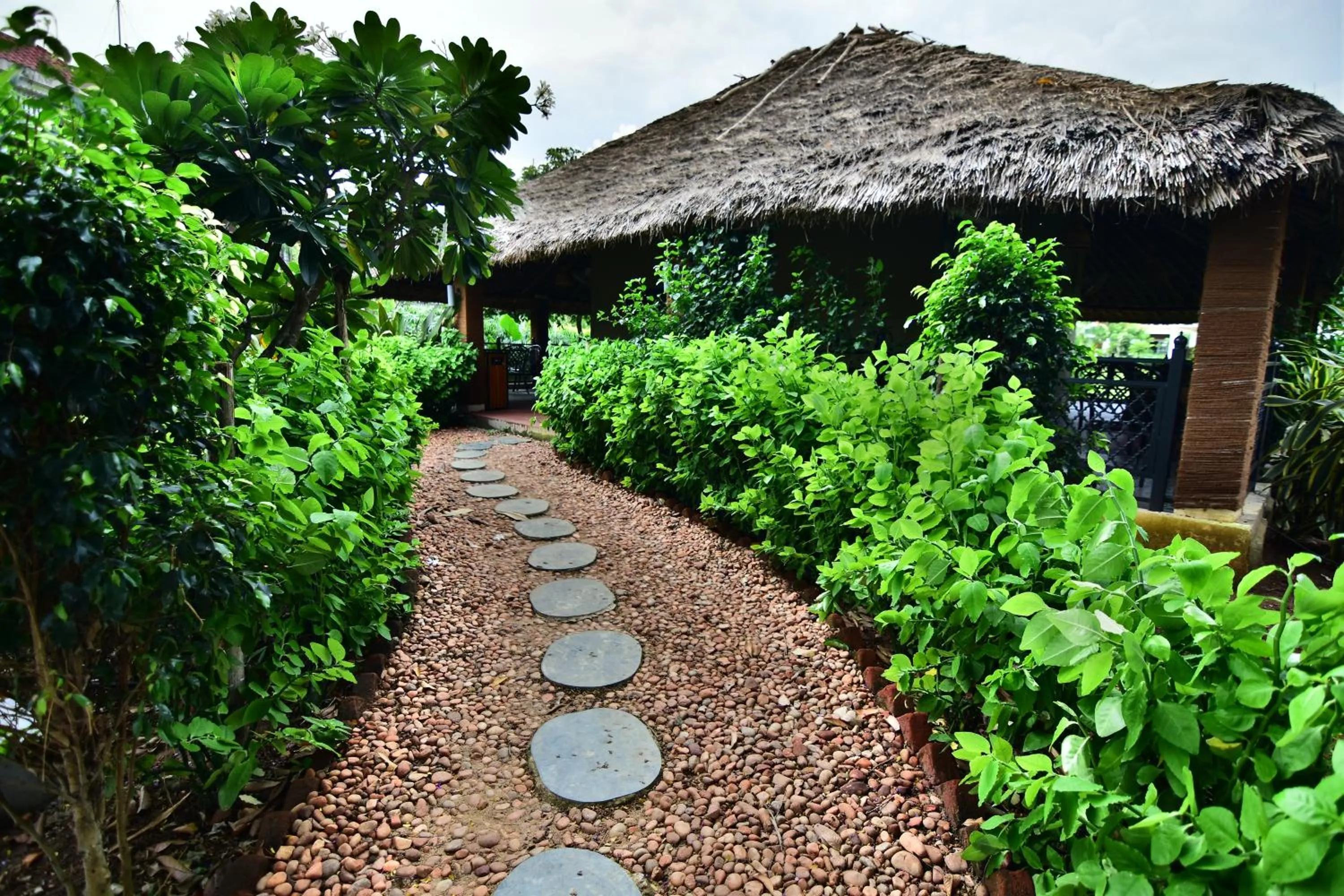 Restaurant/places to eat in Swosti Chilika Resort